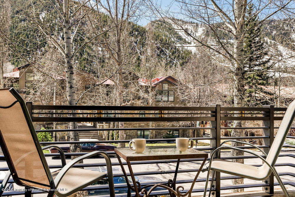 926 E Durant Avenue Aspen CO 81611