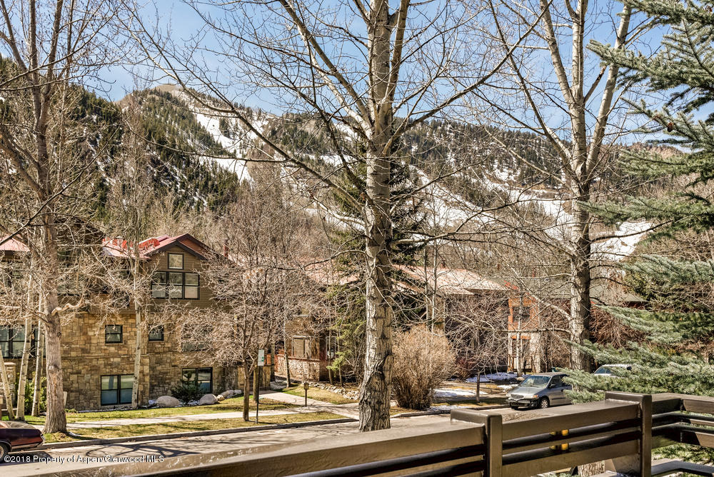 926 E Durant Avenue Aspen CO 81611