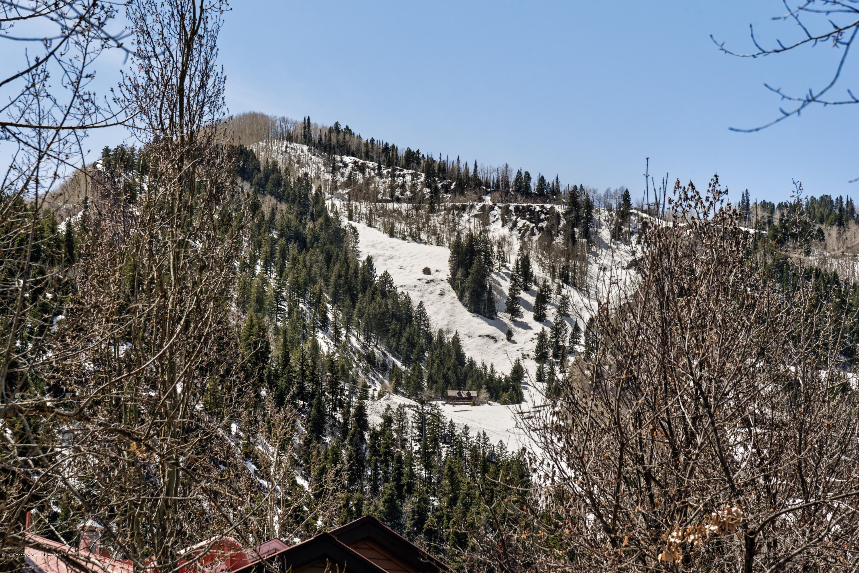 926 E Durant Avenue Aspen CO 81611