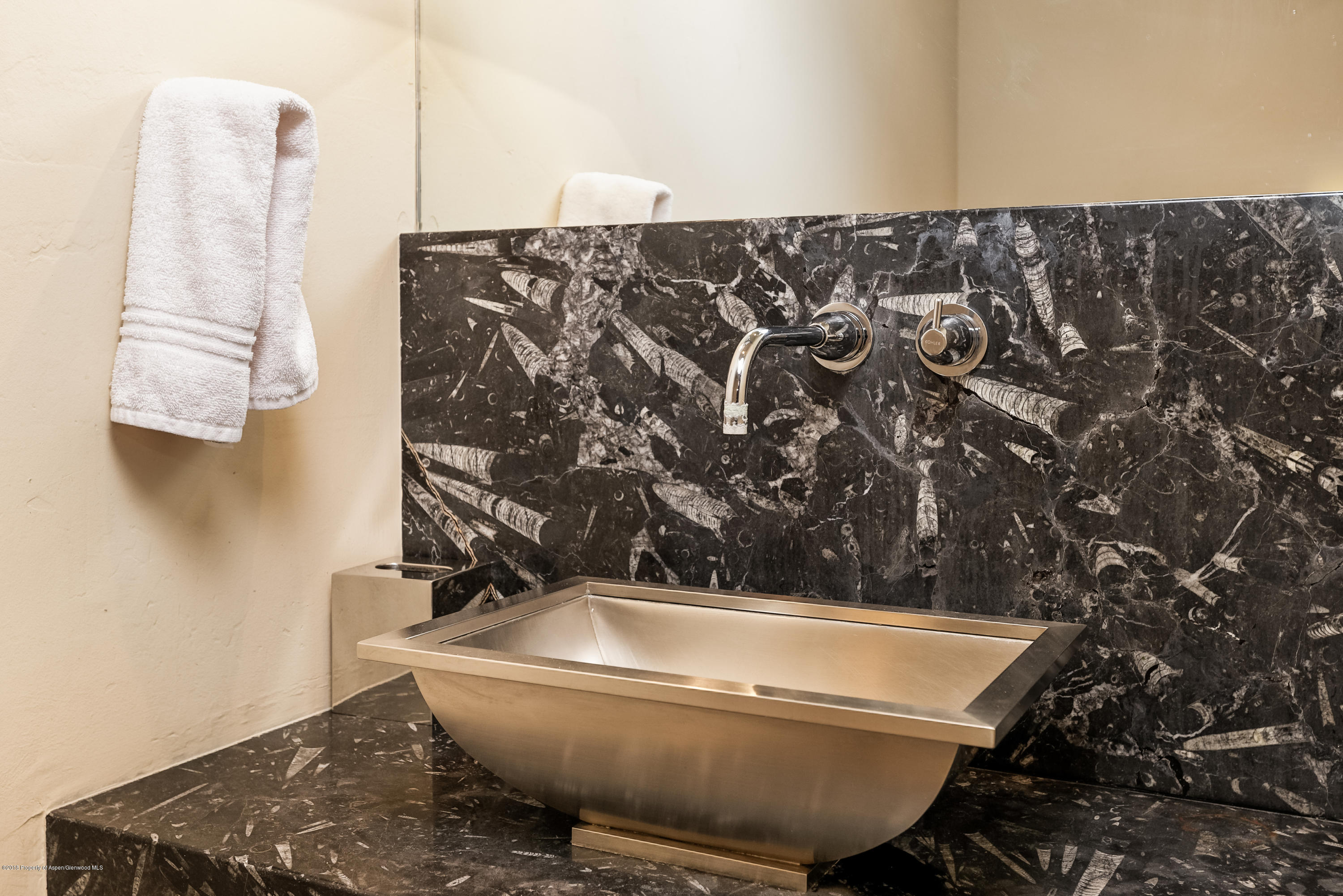 926 E Durant Avenue Aspen CO 81611