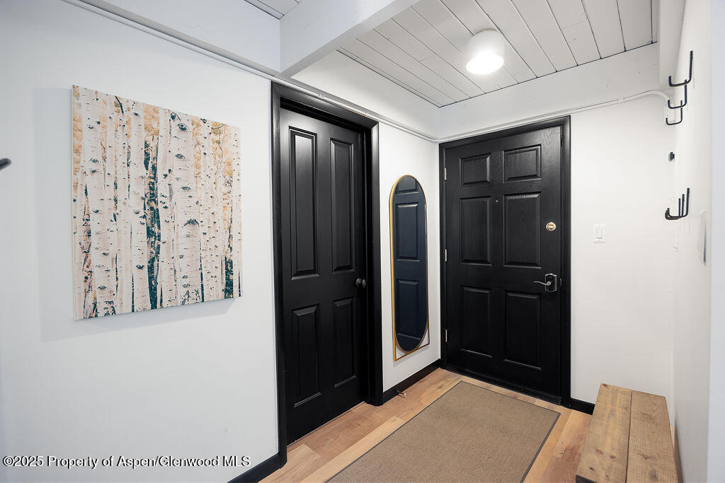 901 E Hyman Avenue Aspen CO 81611