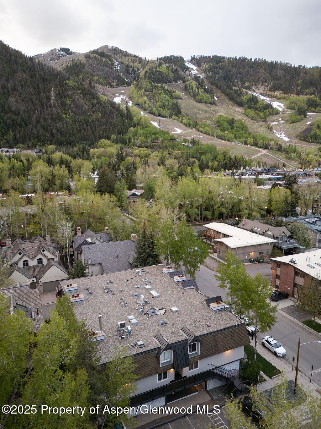 901 E Hyman Avenue Aspen CO 81611