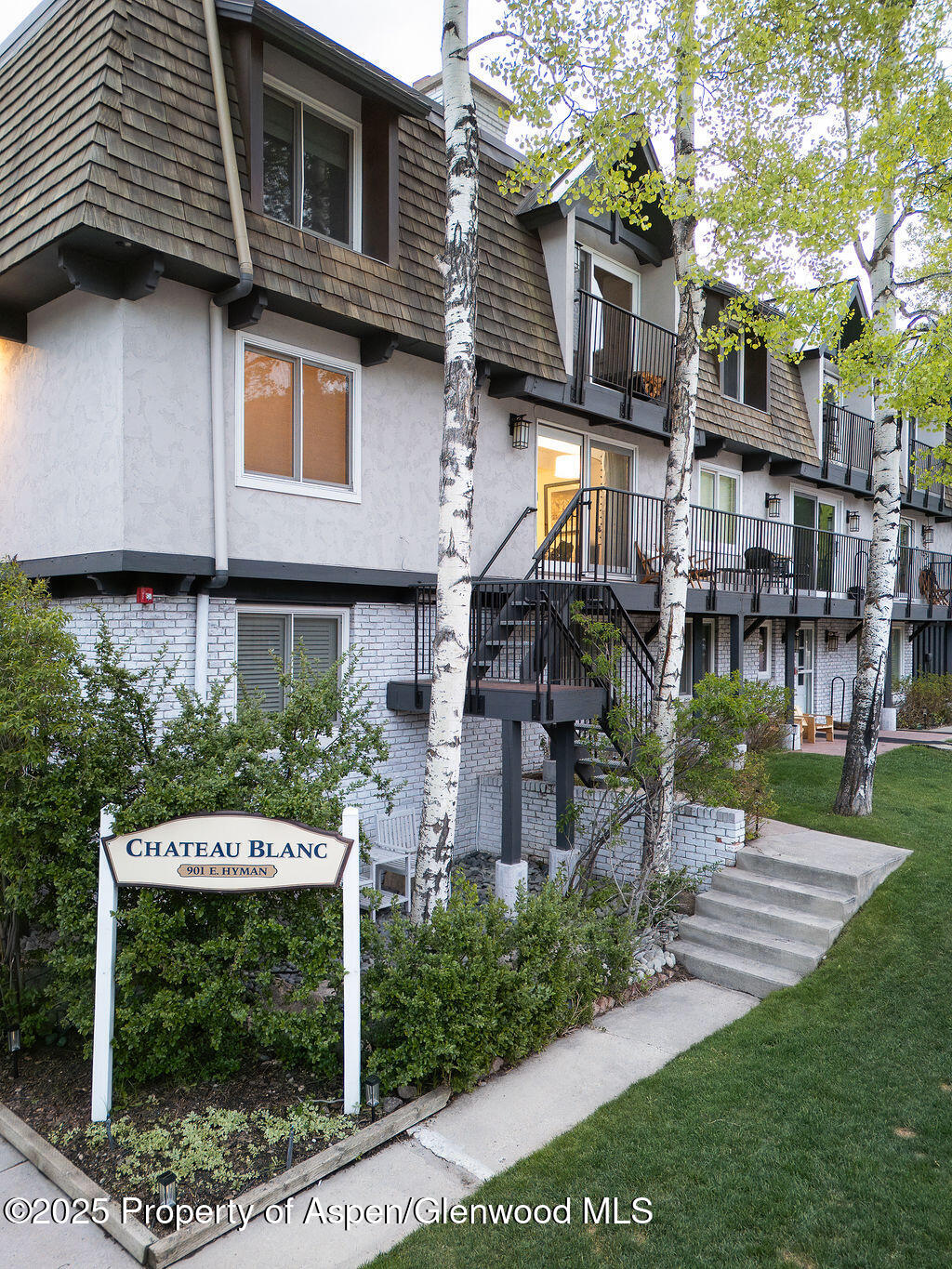 901 E Hyman Avenue Aspen CO 81611