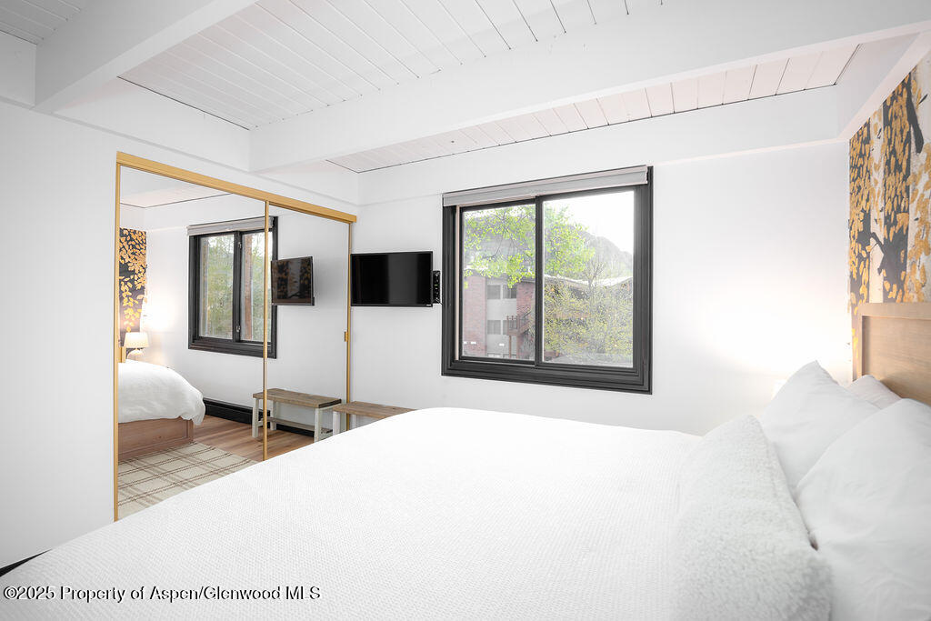 901 E Hyman Avenue Aspen CO 81611