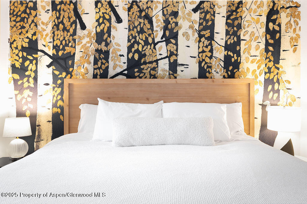 901 E Hyman Avenue Aspen CO 81611