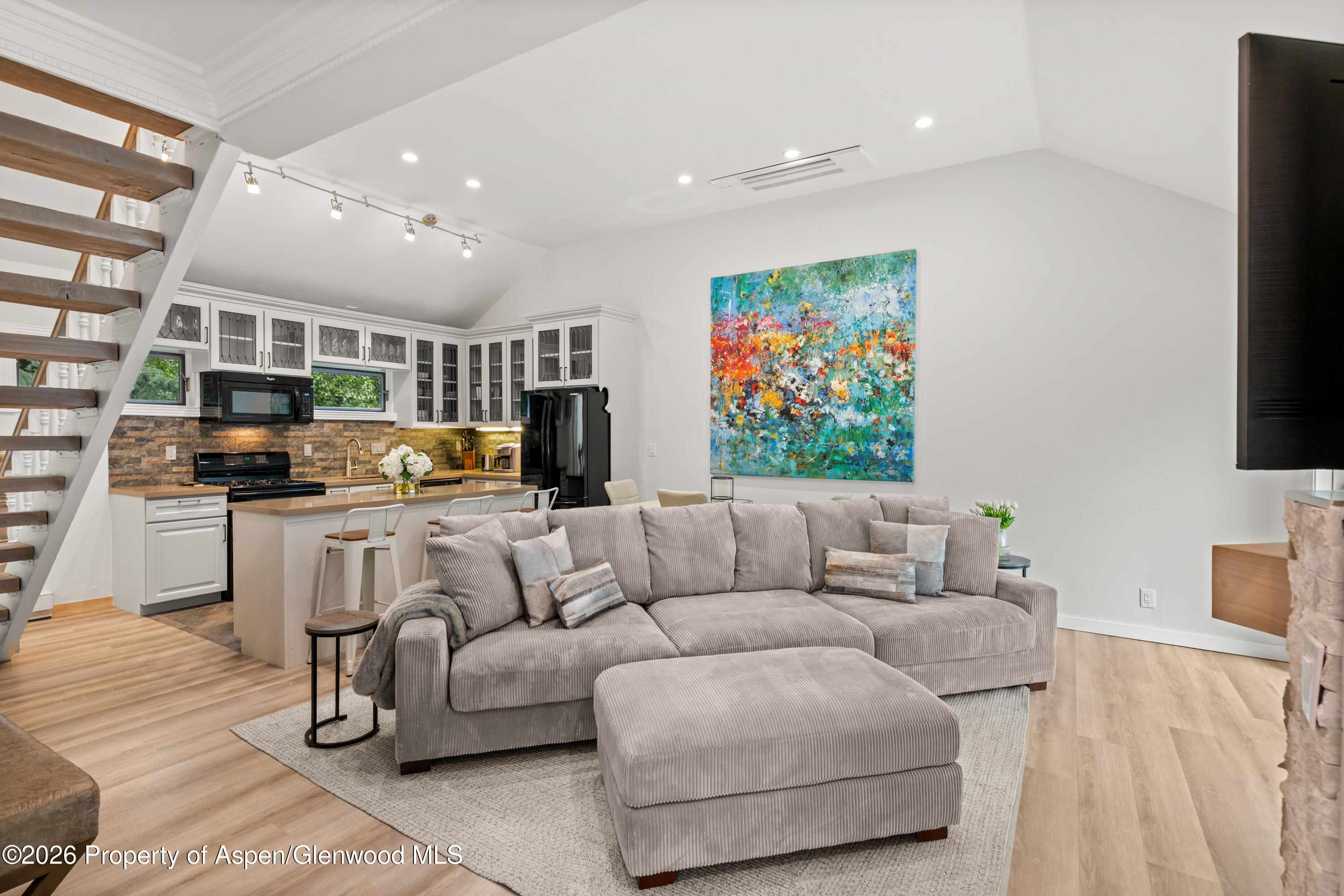 1195 E Cooper Avenue Aspen CO 81611