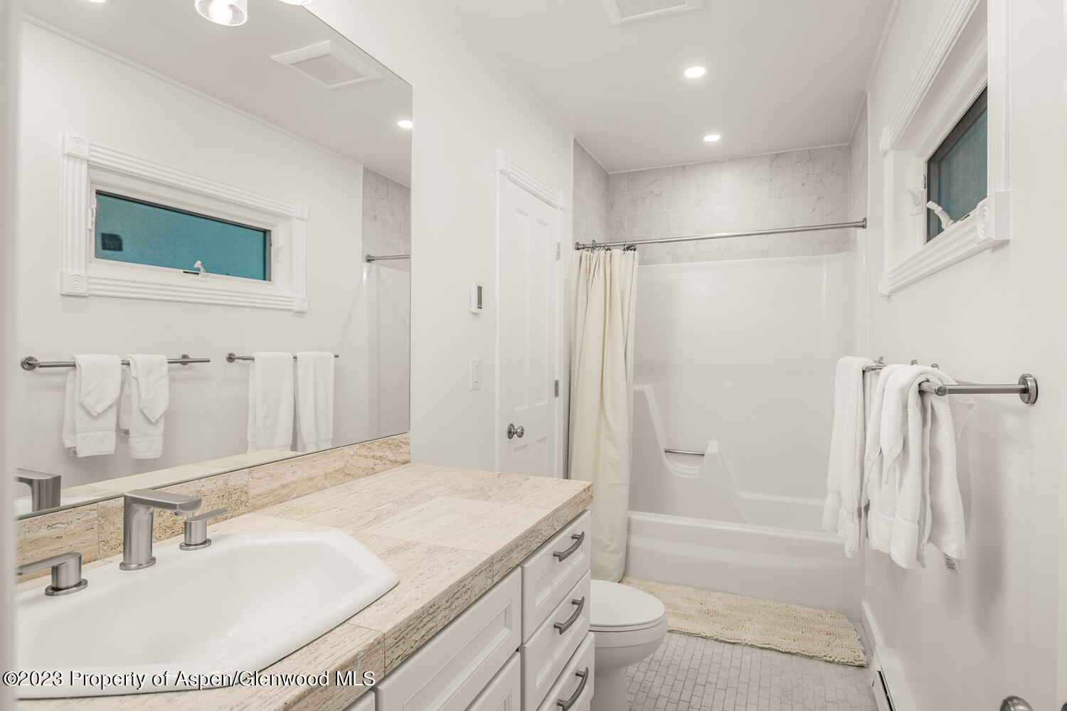 1195 E Cooper Avenue Aspen CO 81611