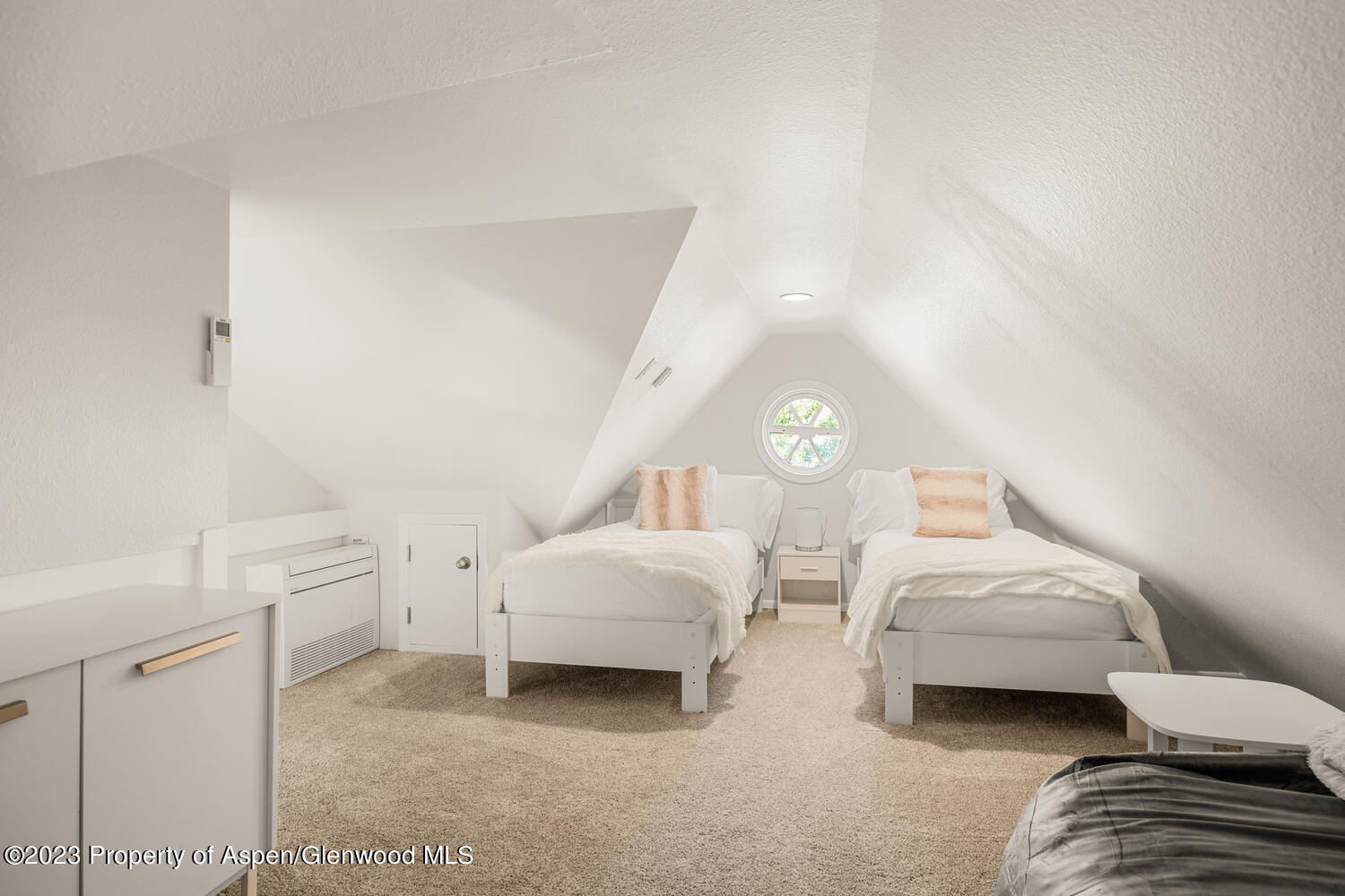 1195 E Cooper Avenue Aspen CO 81611