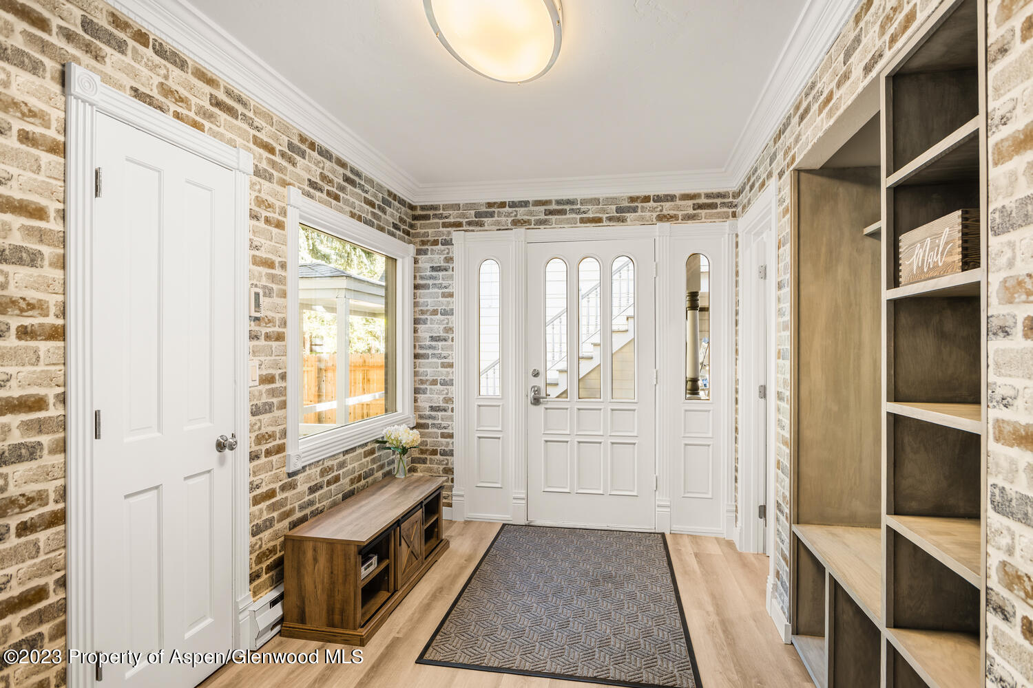 1195 E Cooper Avenue Aspen CO 81611