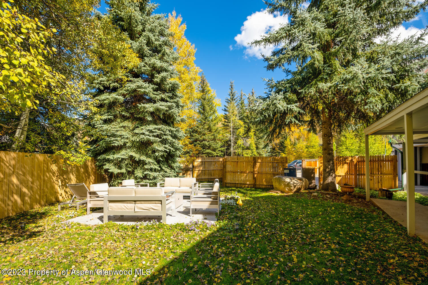 1195 E Cooper Avenue Aspen CO 81611