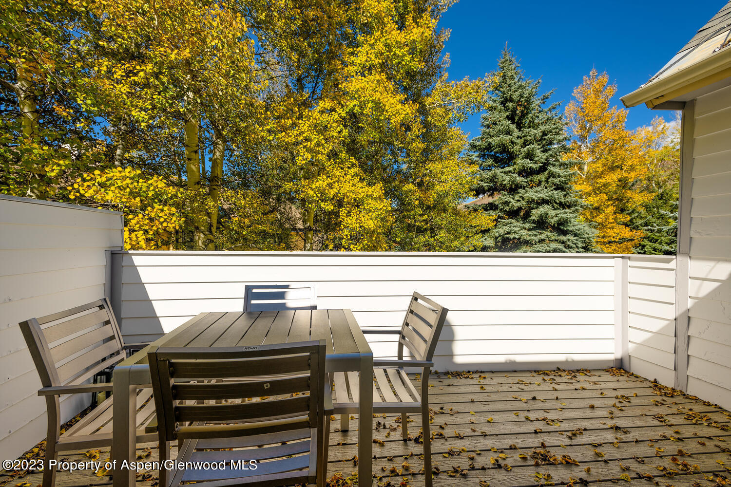 1195 E Cooper Avenue Aspen CO 81611
