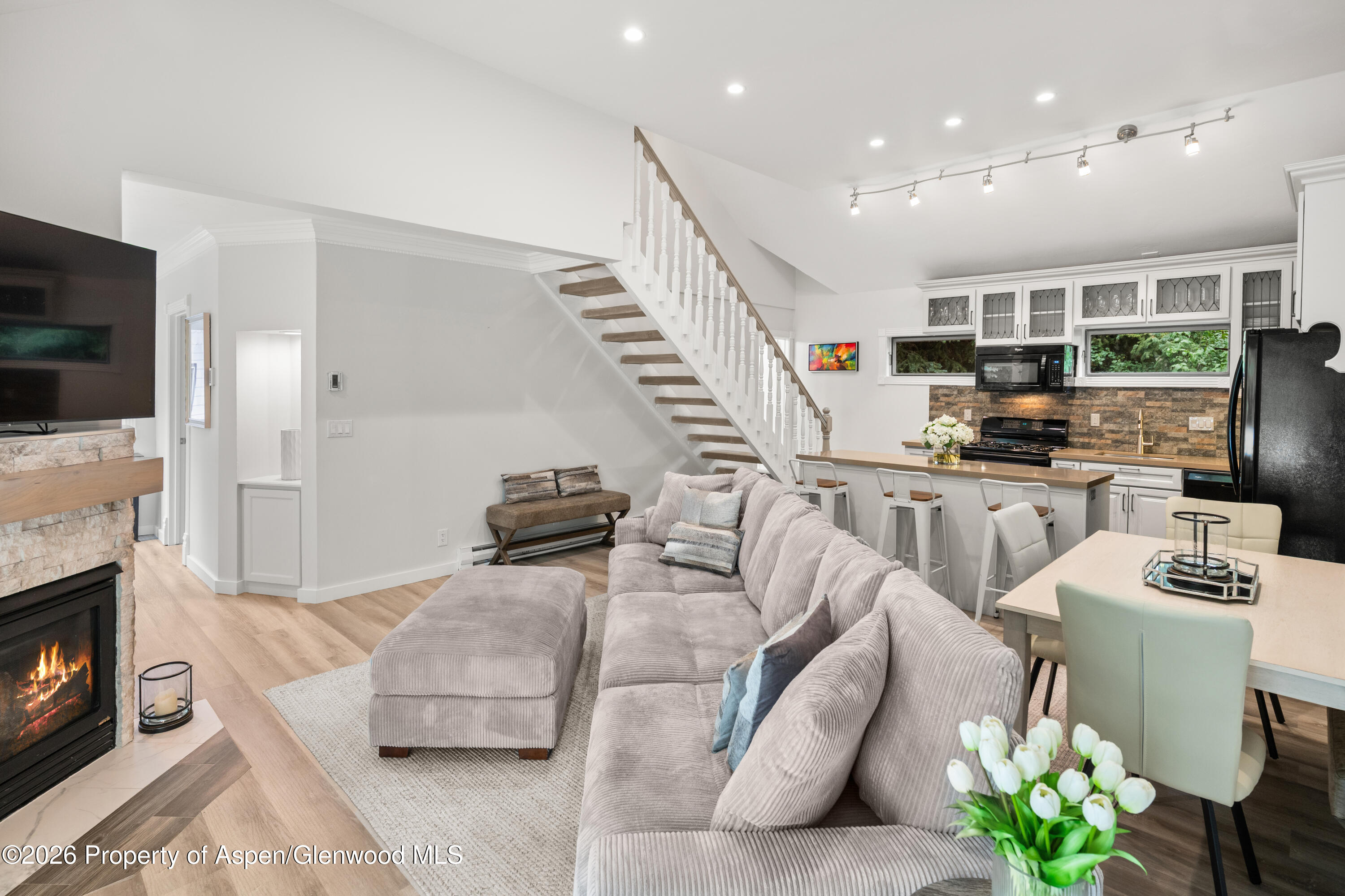 1195 E Cooper Avenue Aspen CO 81611