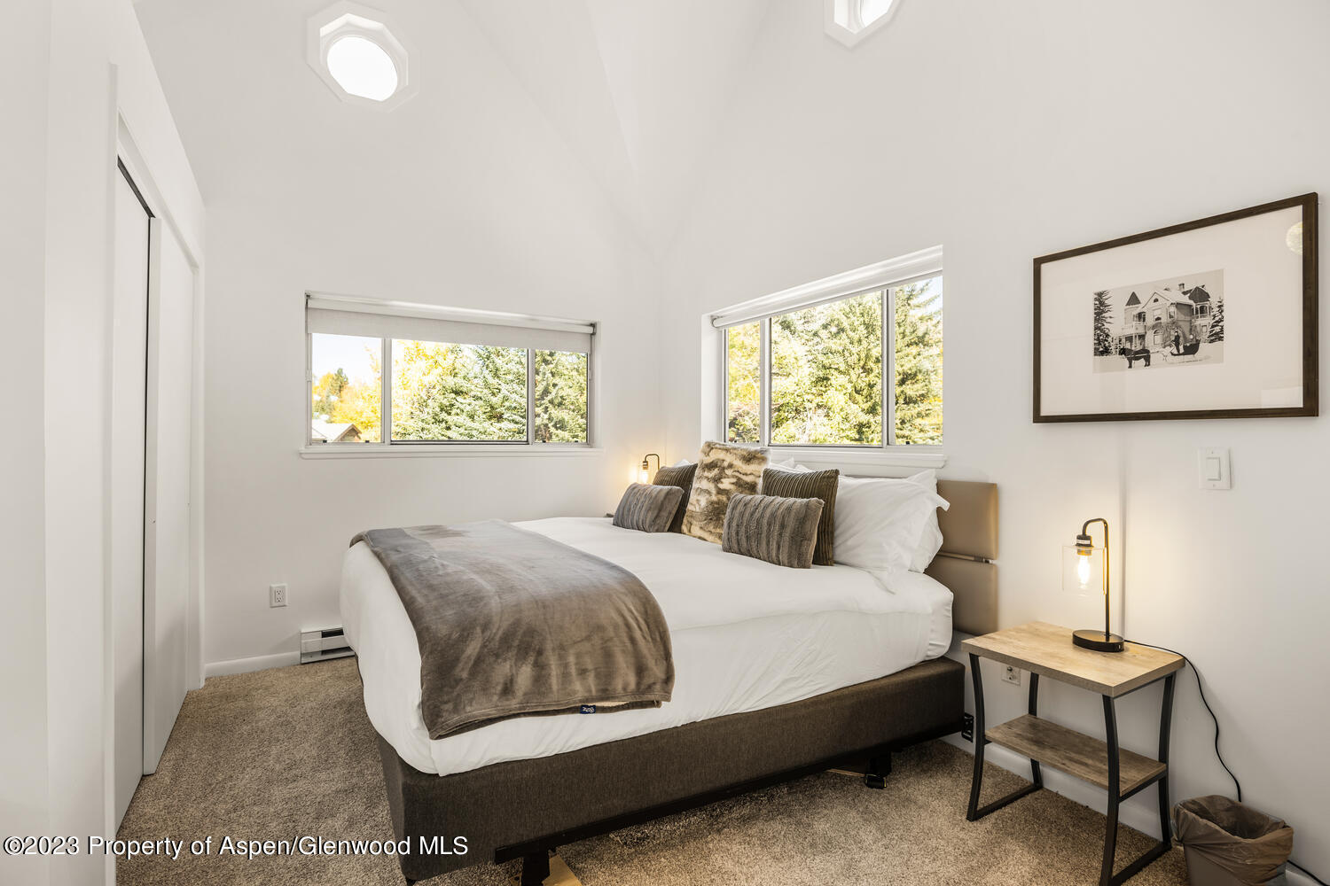 1195 E Cooper Avenue Aspen CO 81611