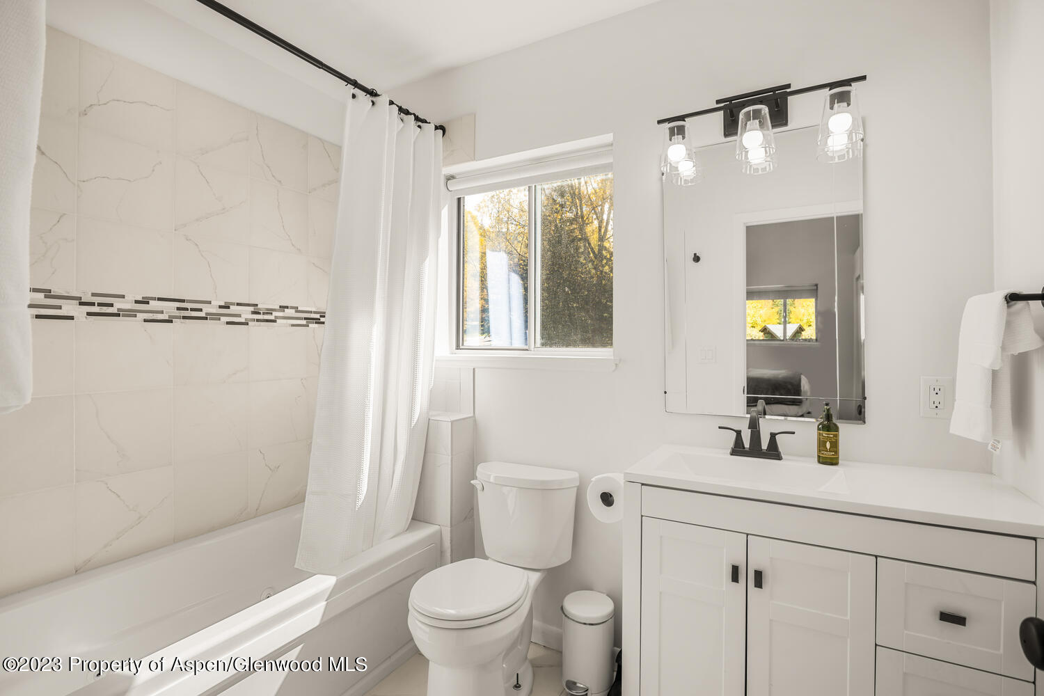 1195 E Cooper Avenue Aspen CO 81611