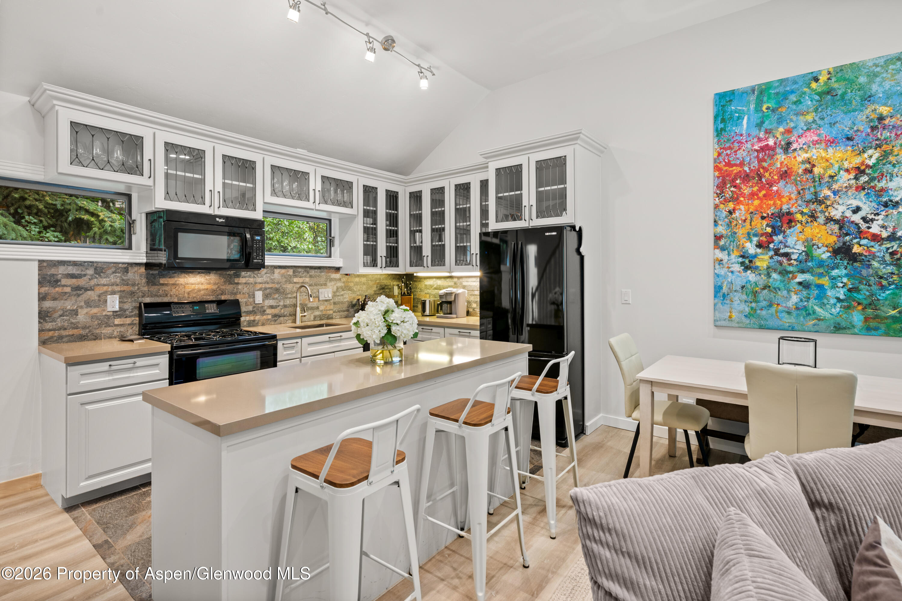 1195 E Cooper Avenue Aspen CO 81611