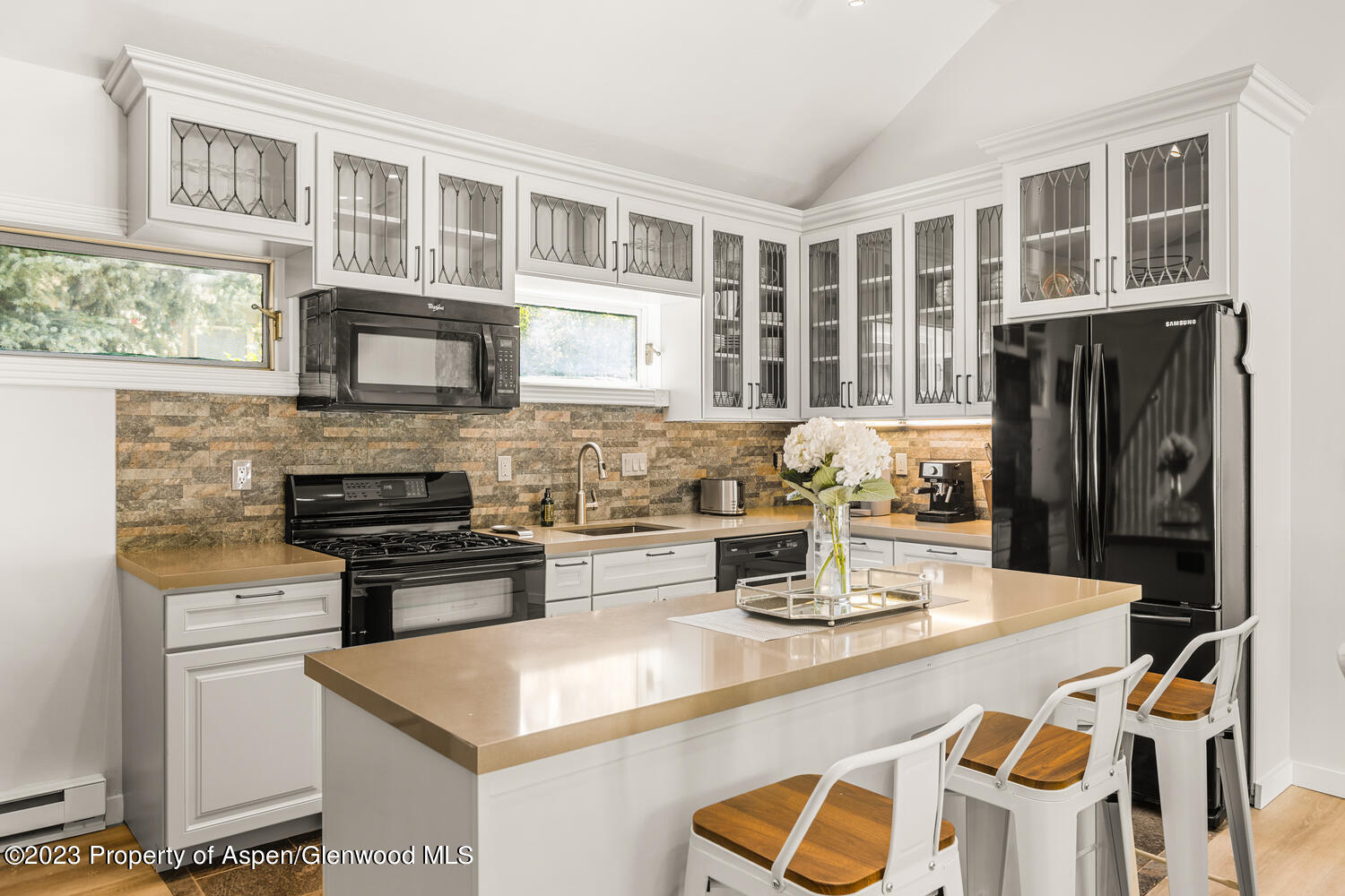 1195 E Cooper Avenue Aspen CO 81611