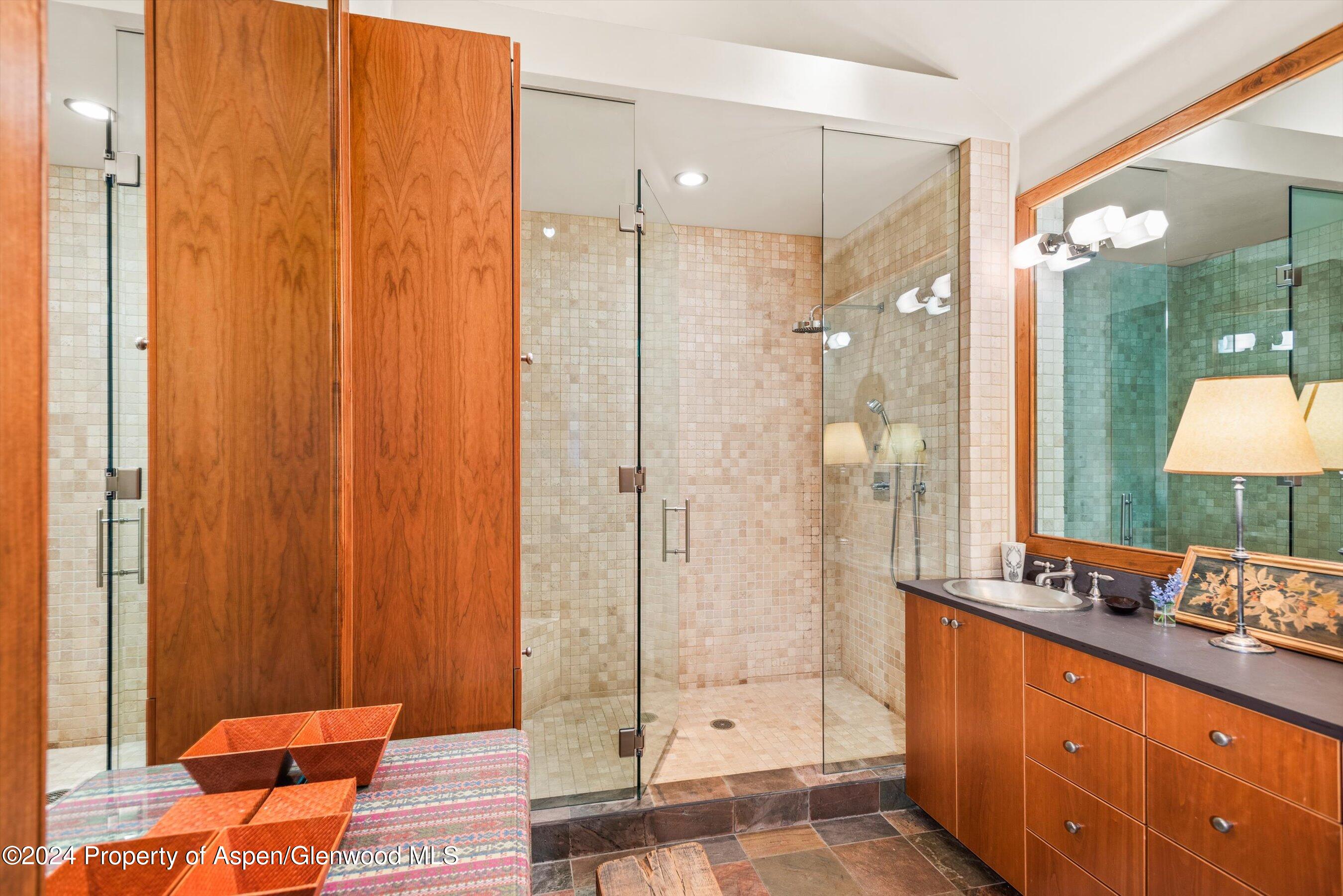 1016 E Hopkins Avenue Aspen CO 81611