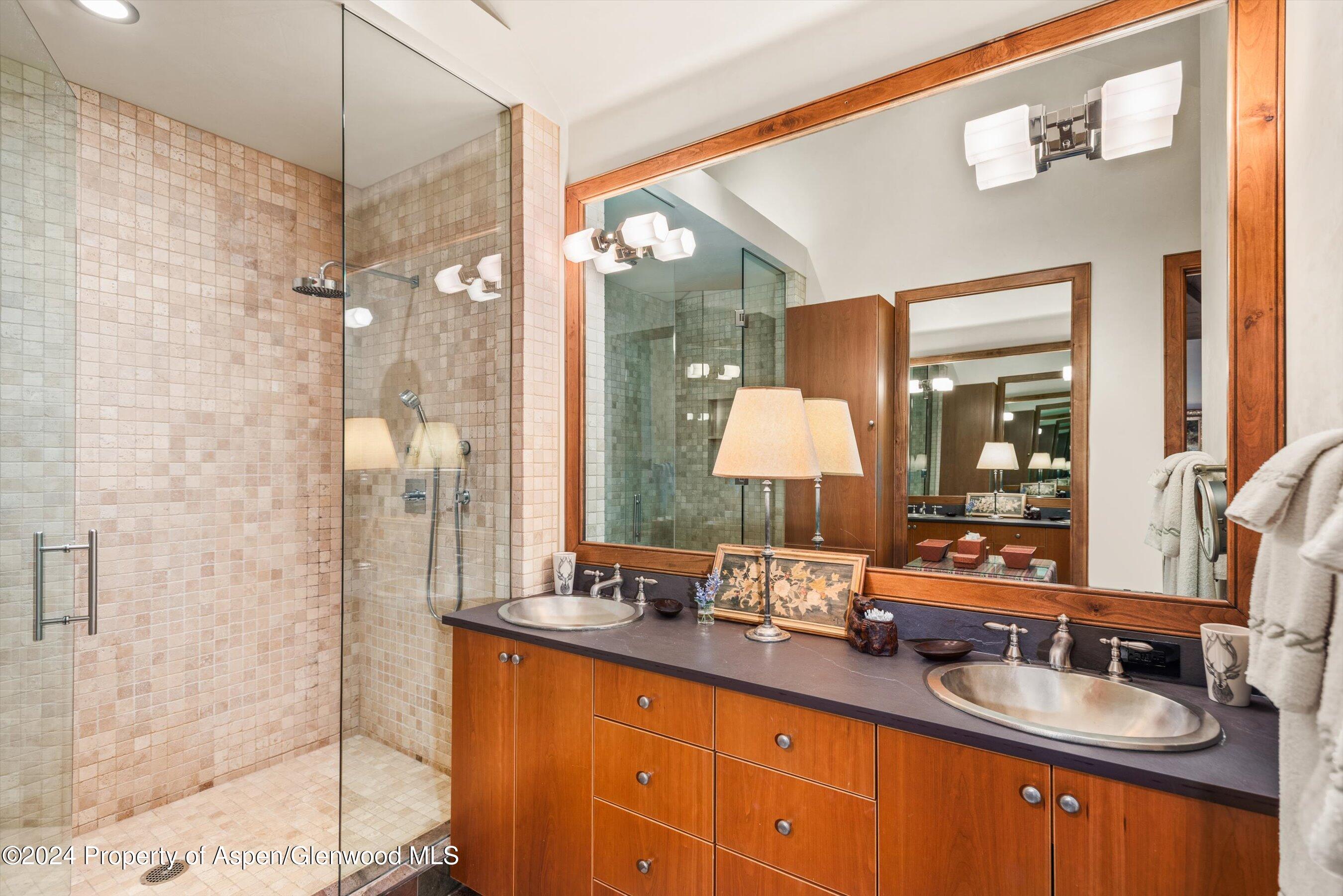 1016 E Hopkins Avenue Aspen CO 81611