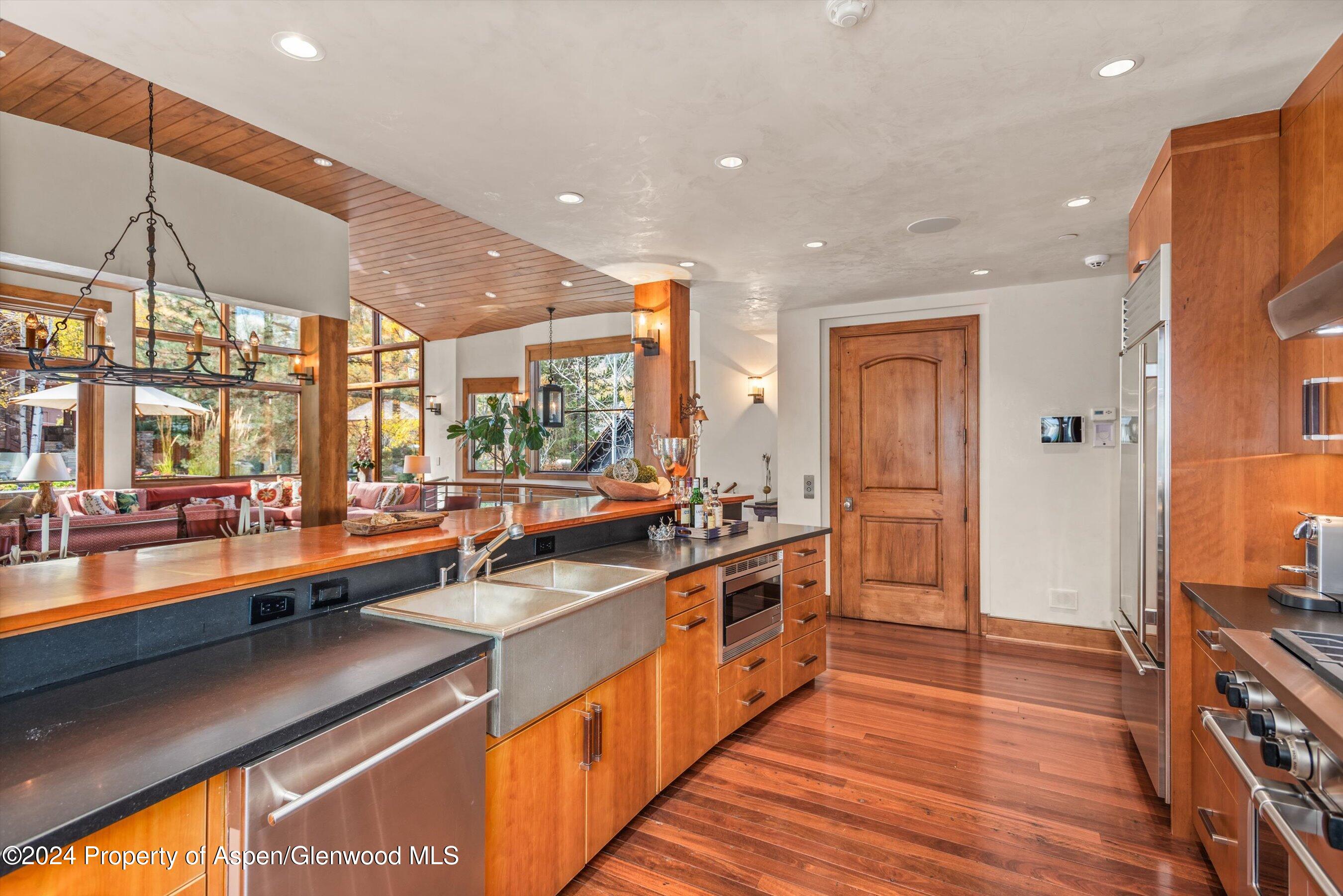 1016 E Hopkins Avenue Aspen CO 81611