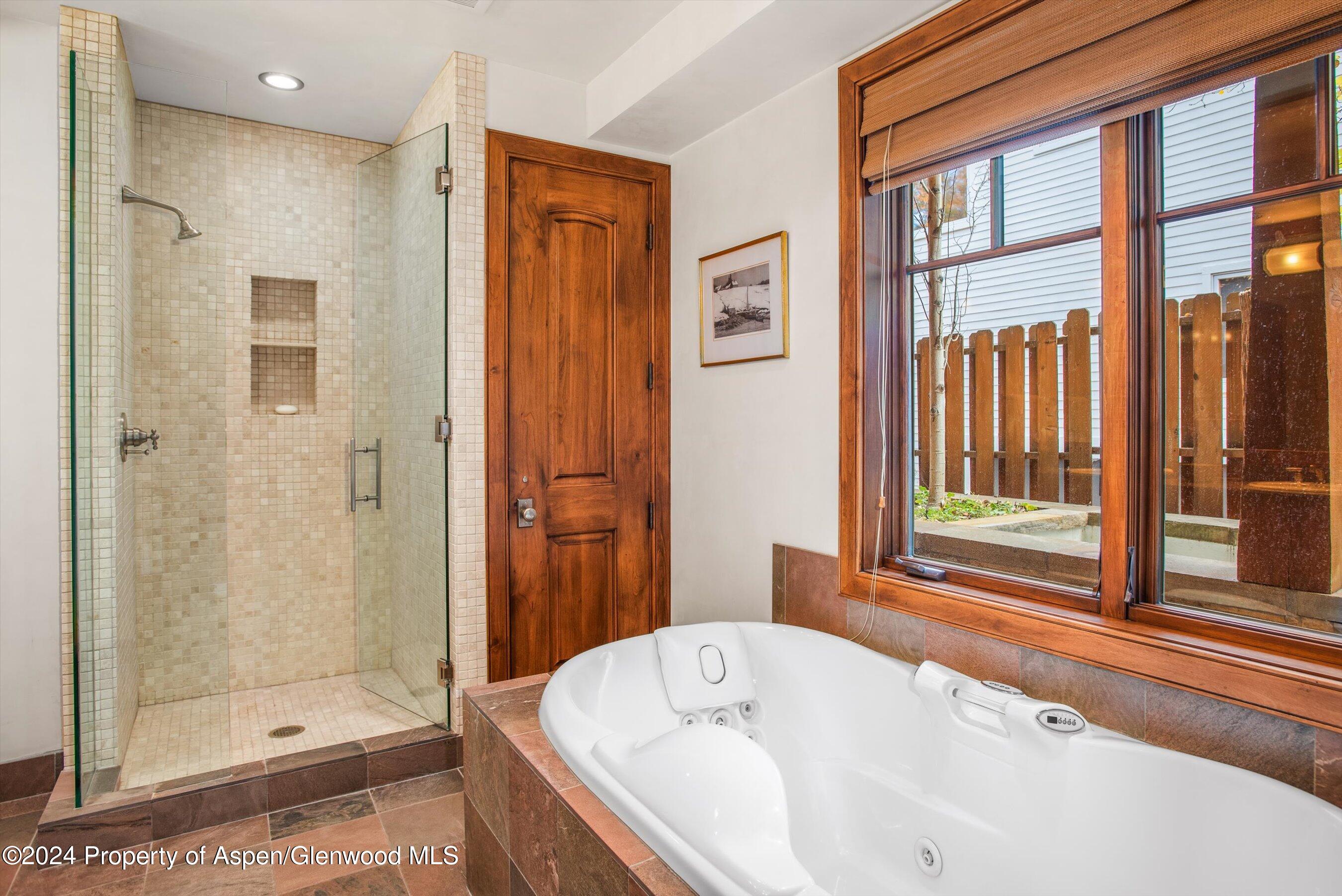 1016 E Hopkins Avenue Aspen CO 81611