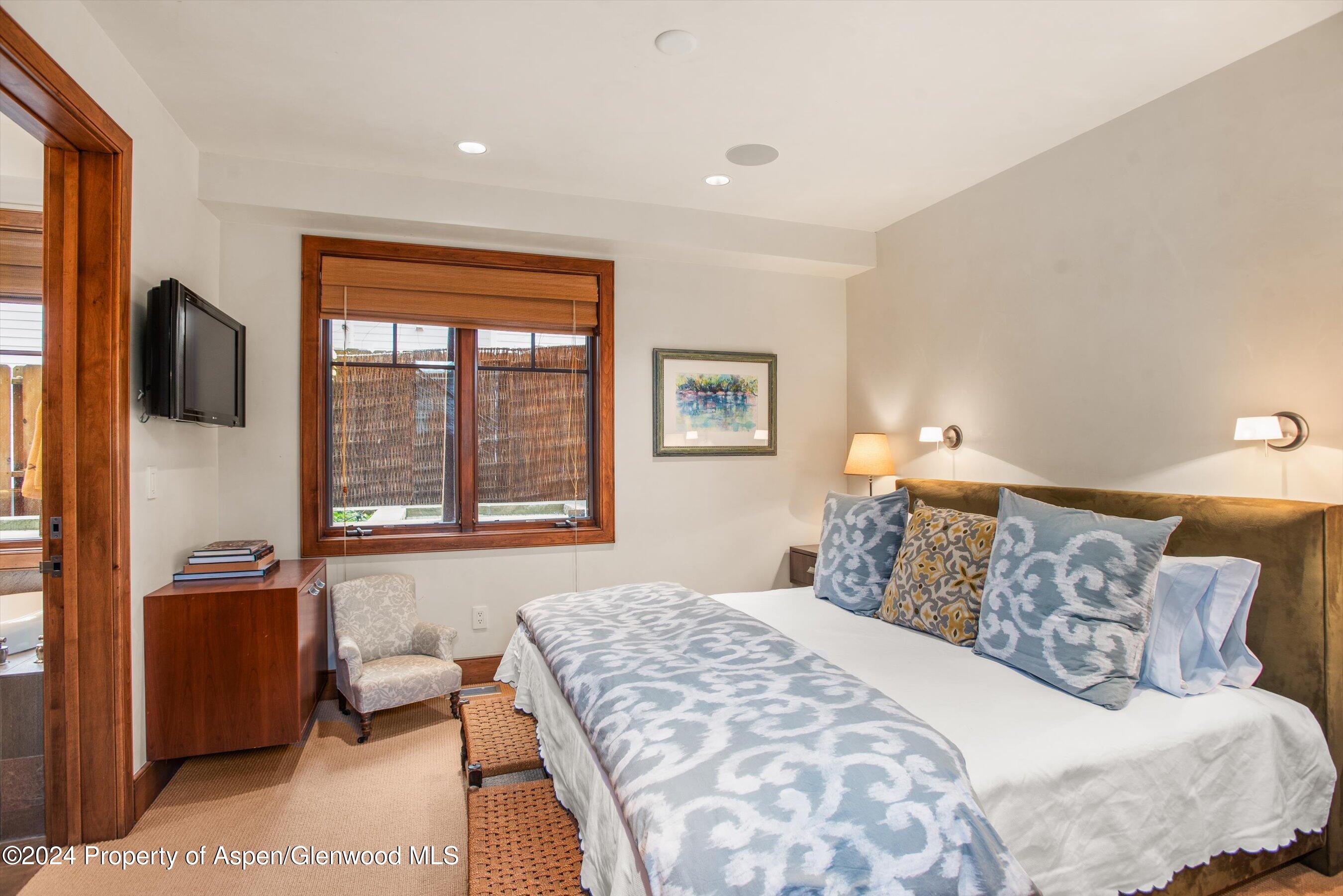 1016 E Hopkins Avenue Aspen CO 81611