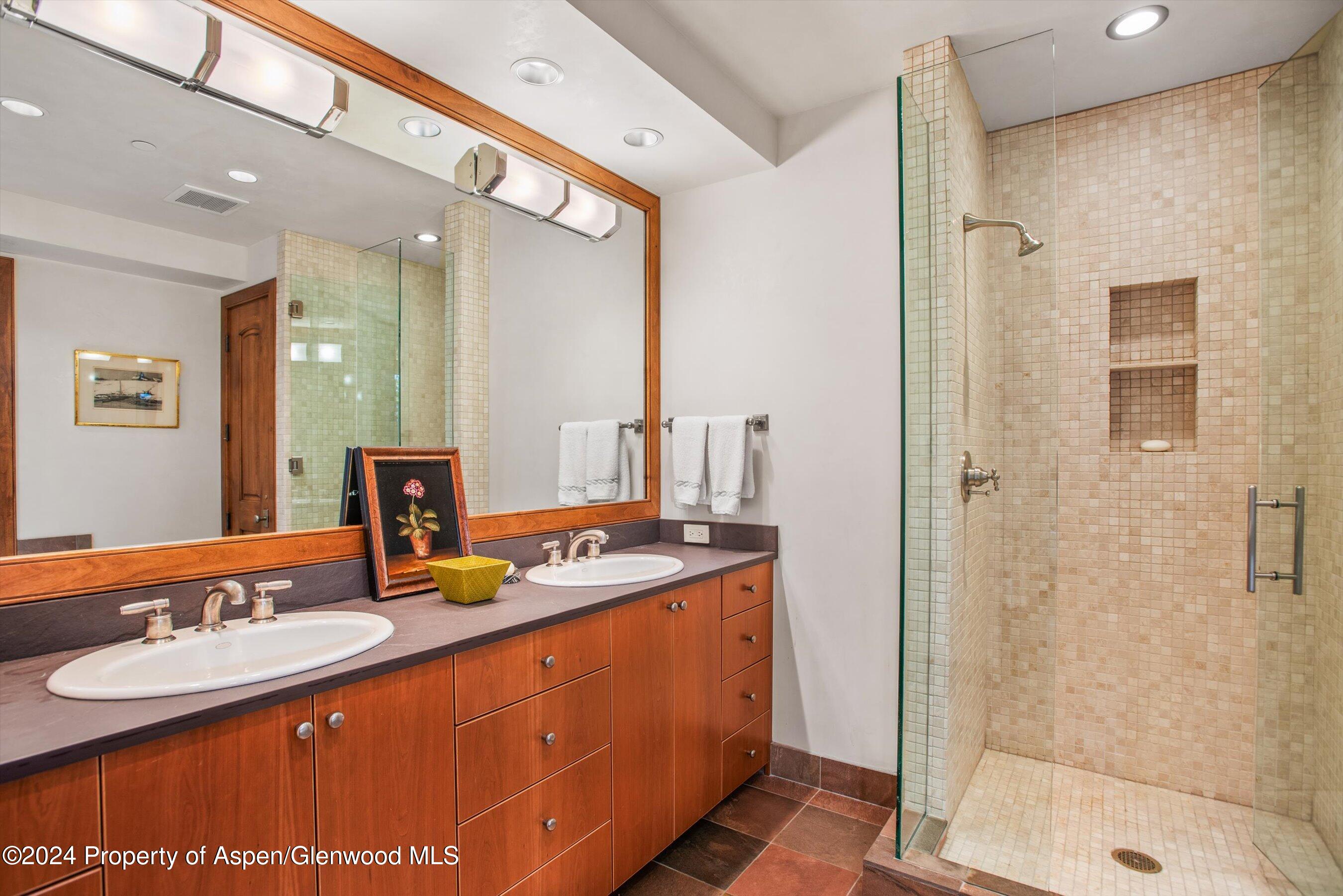 1016 E Hopkins Avenue Aspen CO 81611