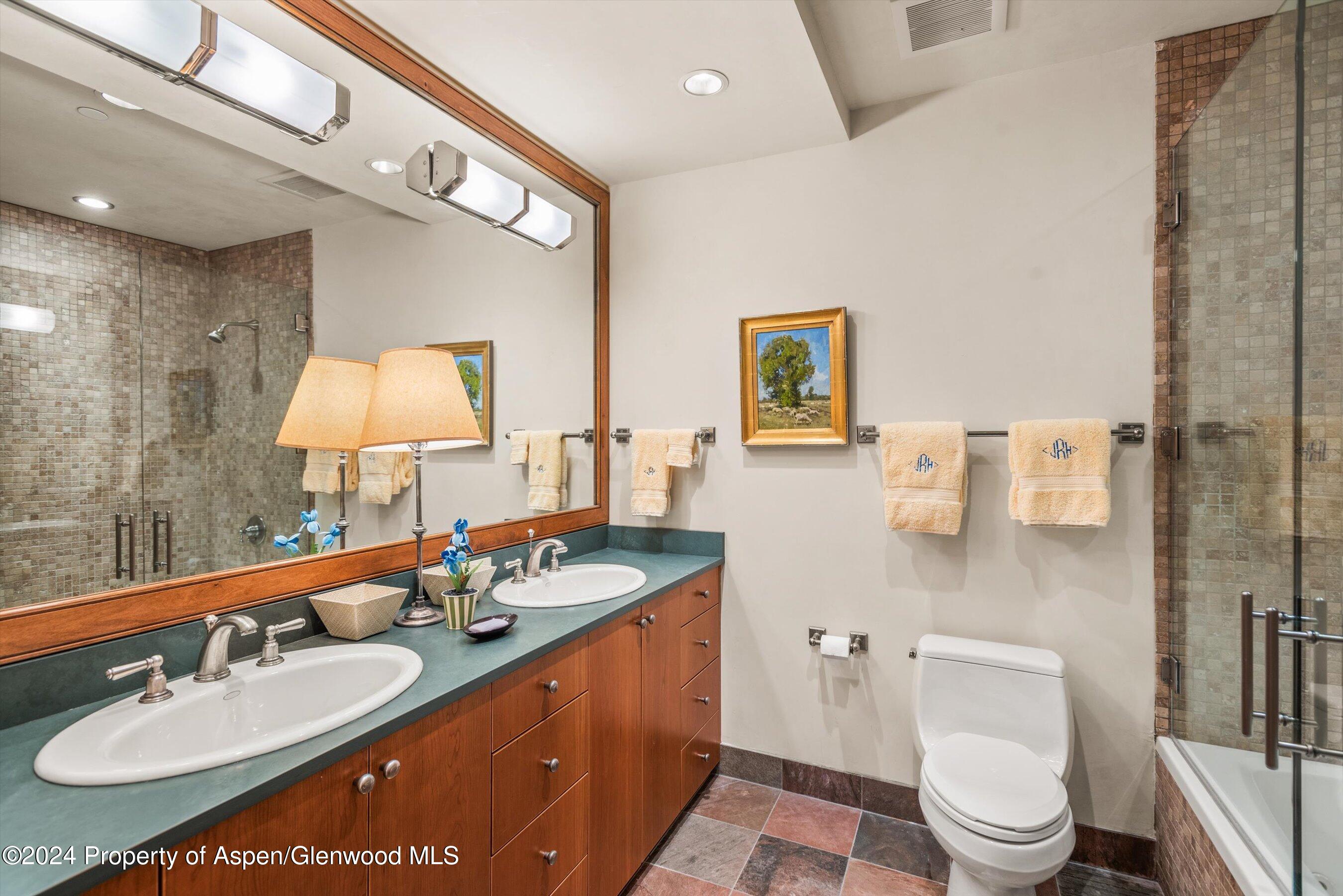 1016 E Hopkins Avenue Aspen CO 81611