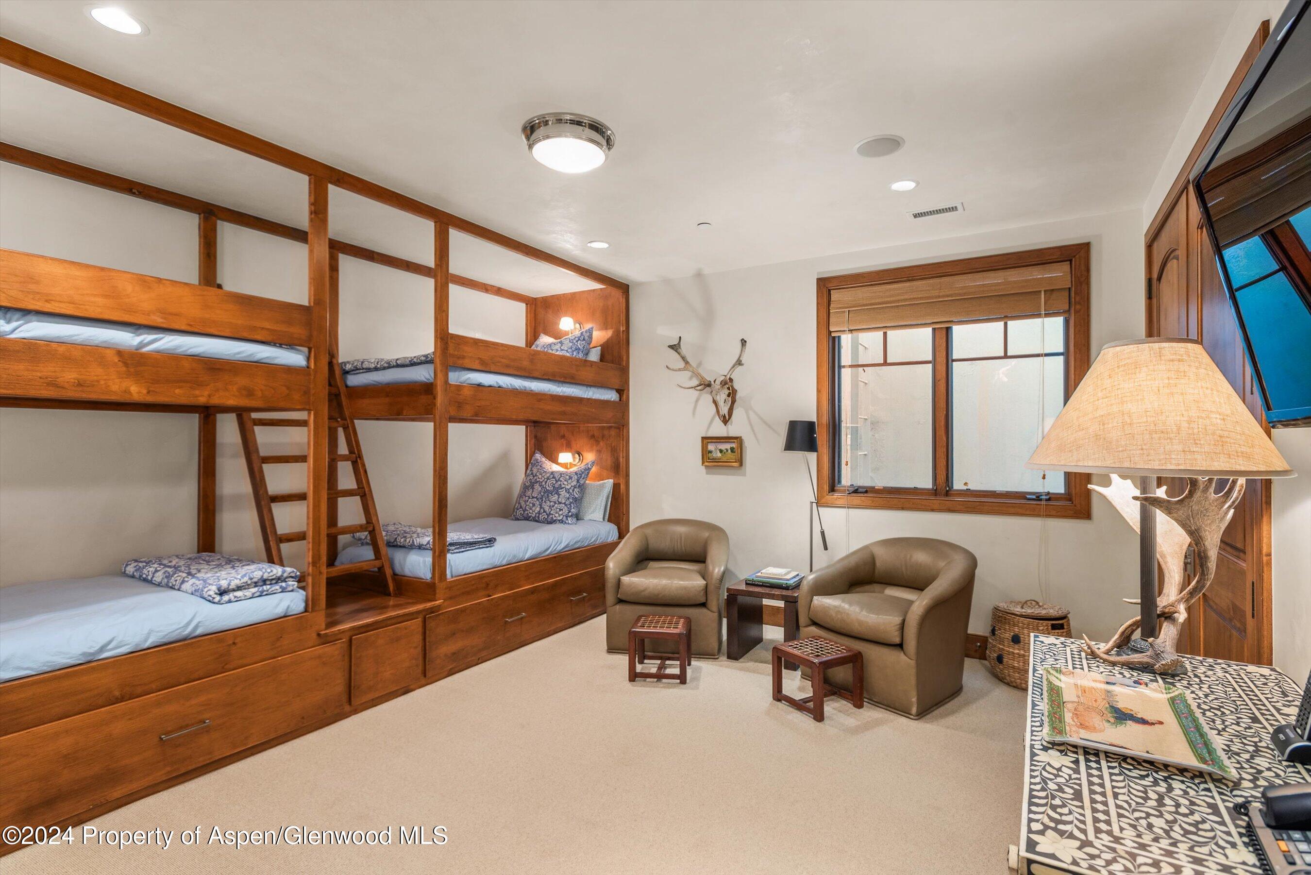 1016 E Hopkins Avenue Aspen CO 81611