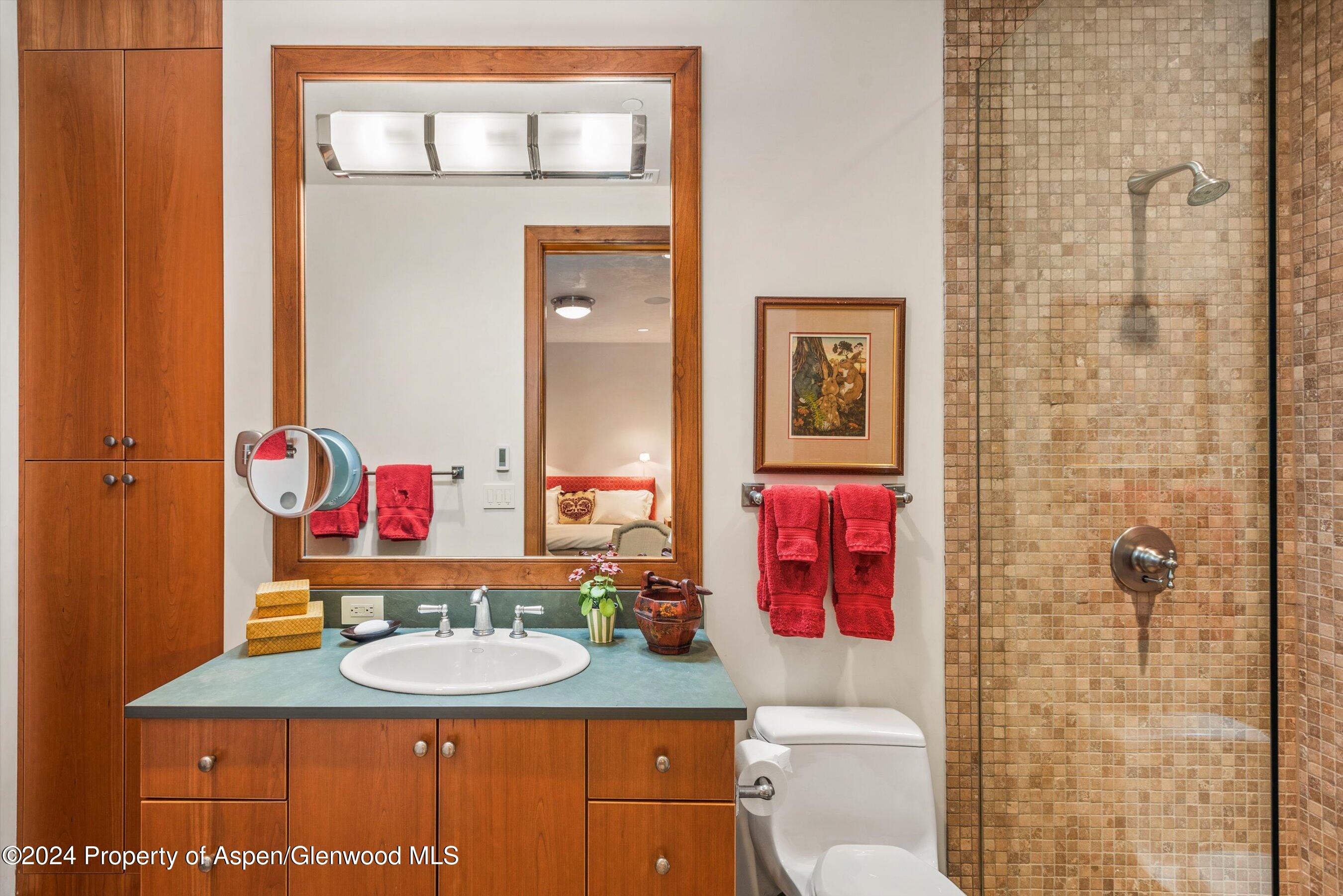 1016 E Hopkins Avenue Aspen CO 81611