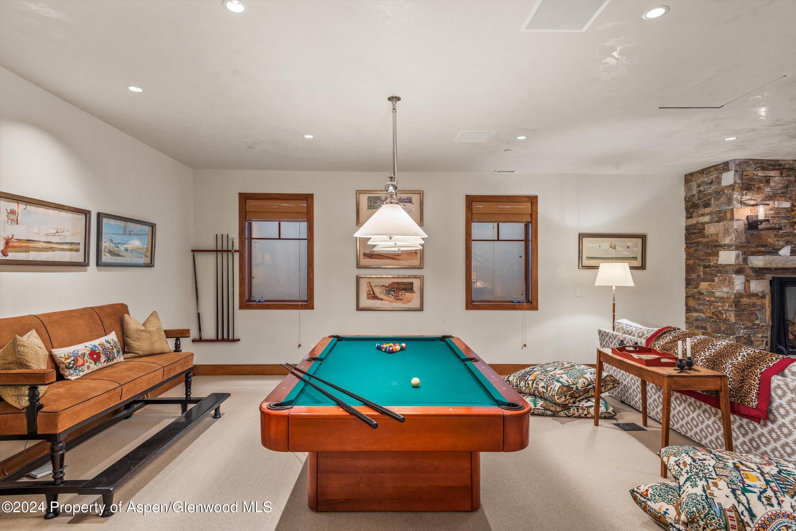 1016 E Hopkins Avenue Aspen CO 81611