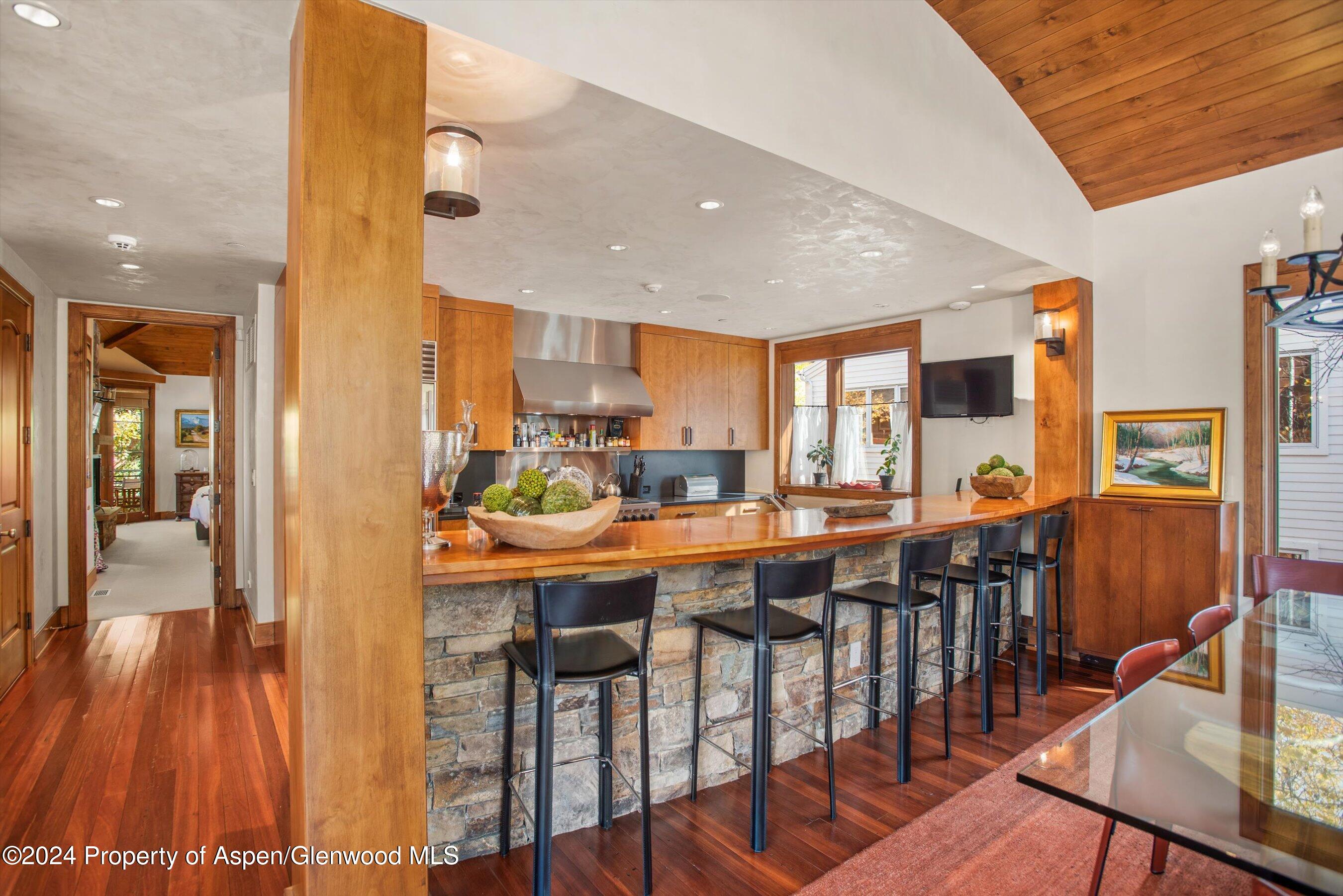 1016 E Hopkins Avenue Aspen CO 81611