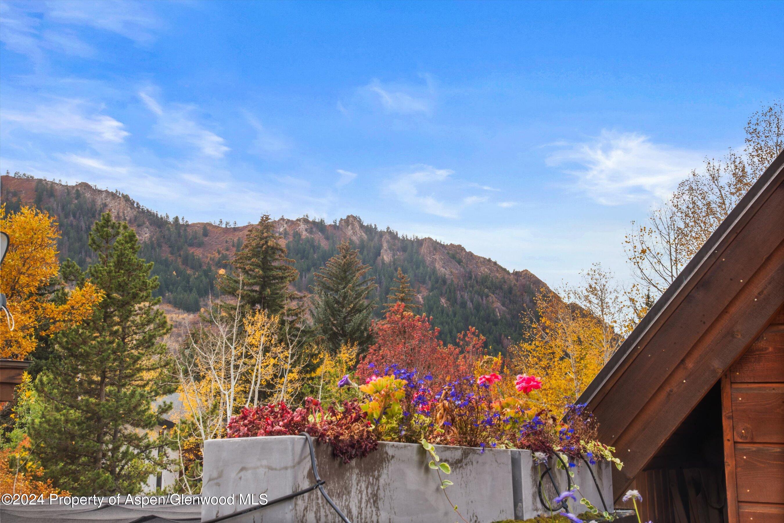 1016 E Hopkins Avenue Aspen CO 81611