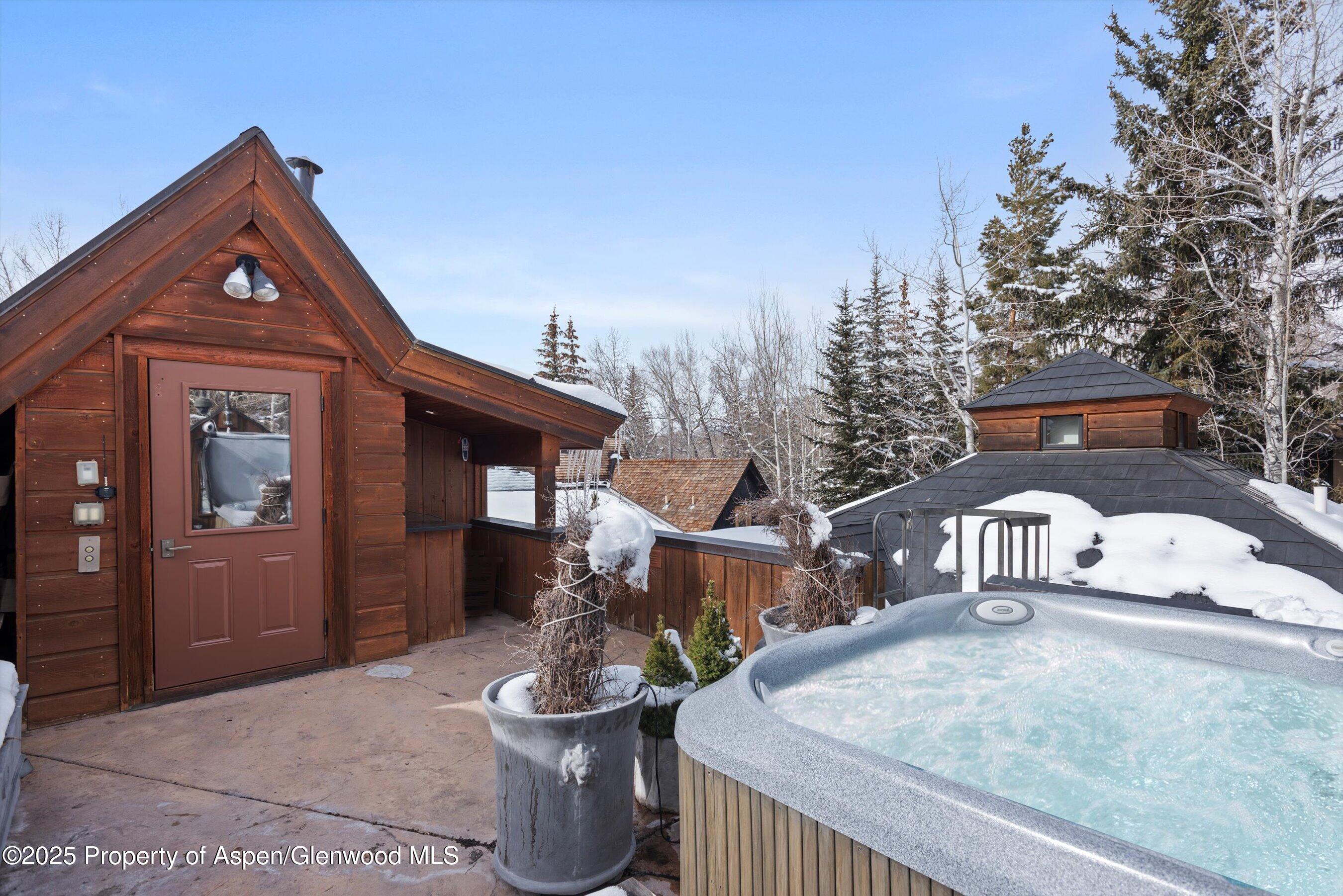 1016 E Hopkins Avenue Aspen CO 81611