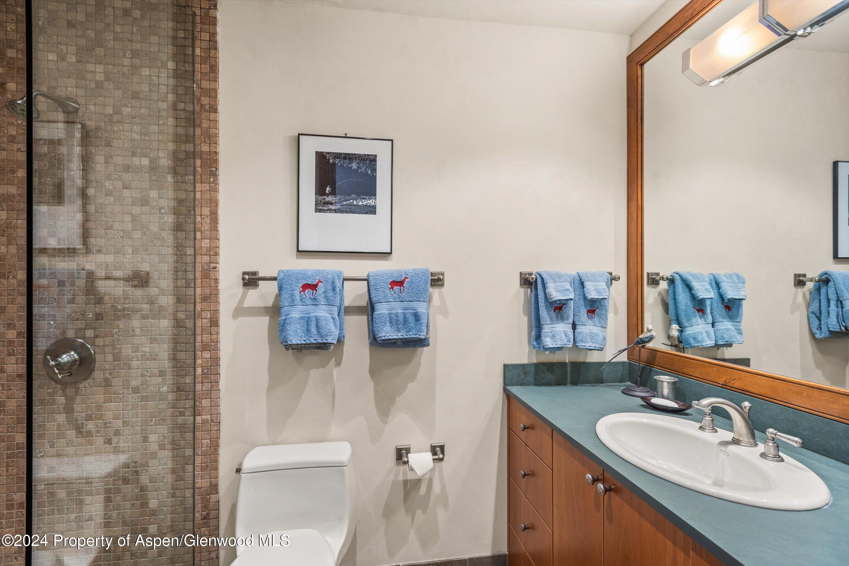 1016 E Hopkins Avenue Aspen CO 81611