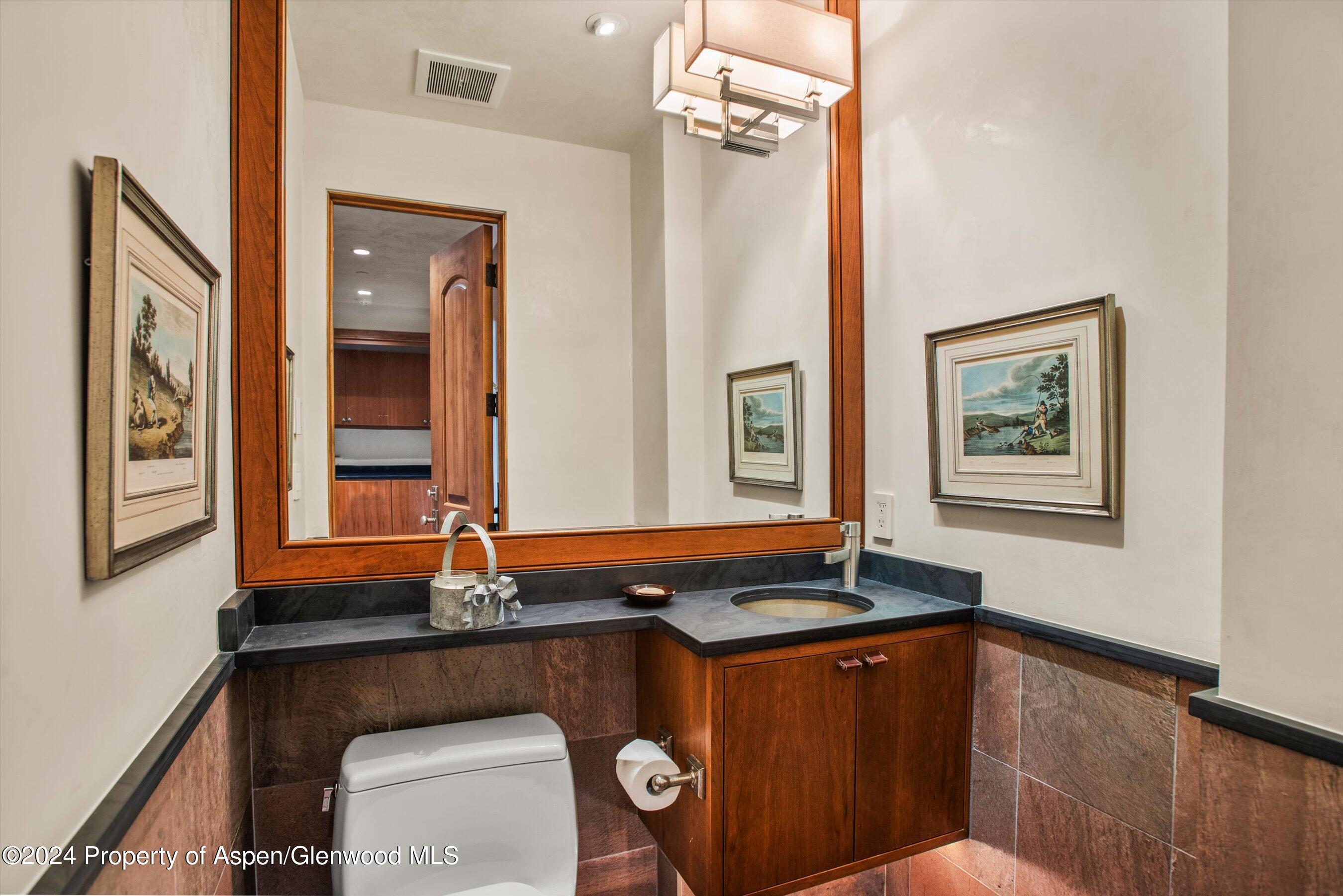 1016 E Hopkins Avenue Aspen CO 81611