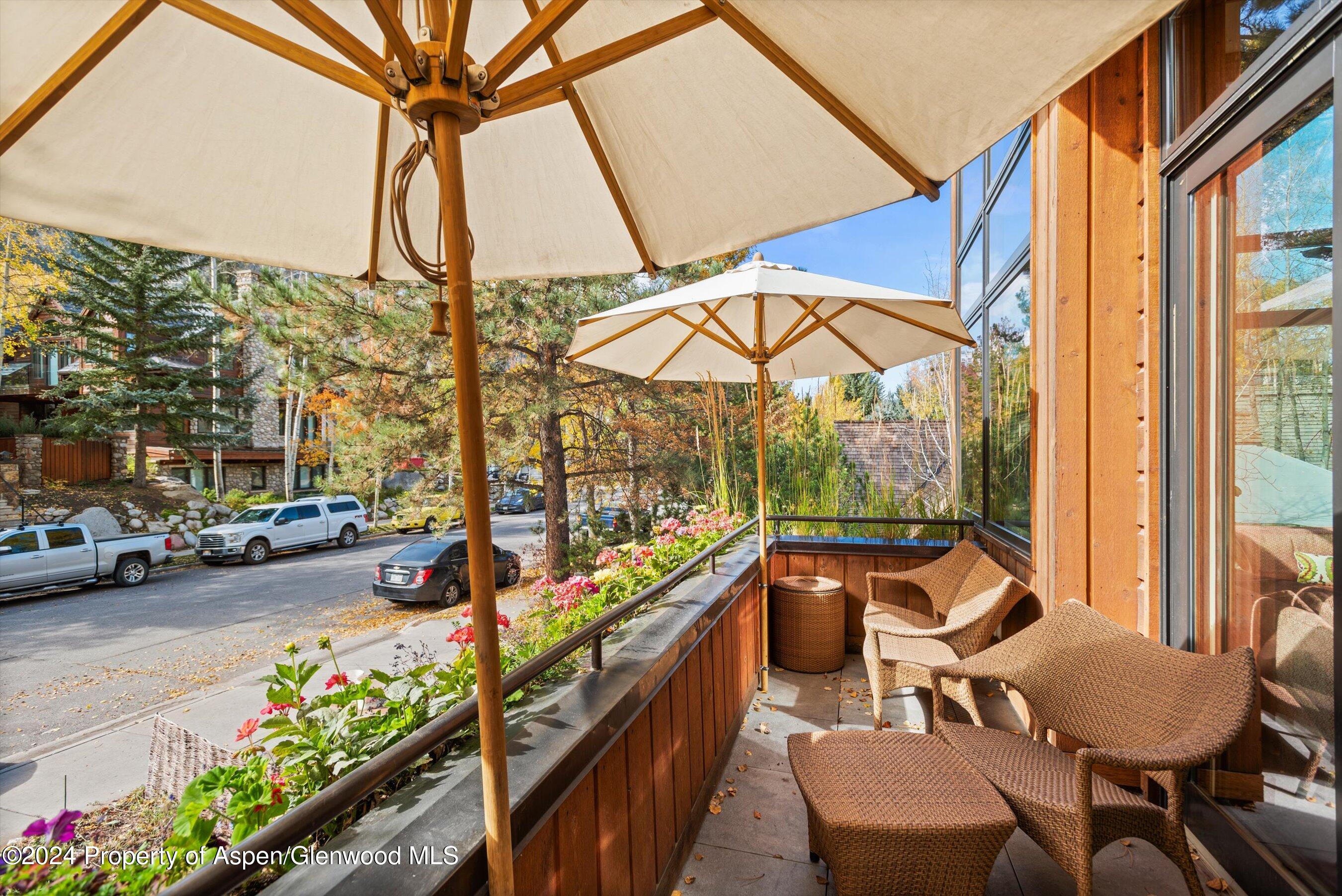 1016 E Hopkins Avenue Aspen CO 81611