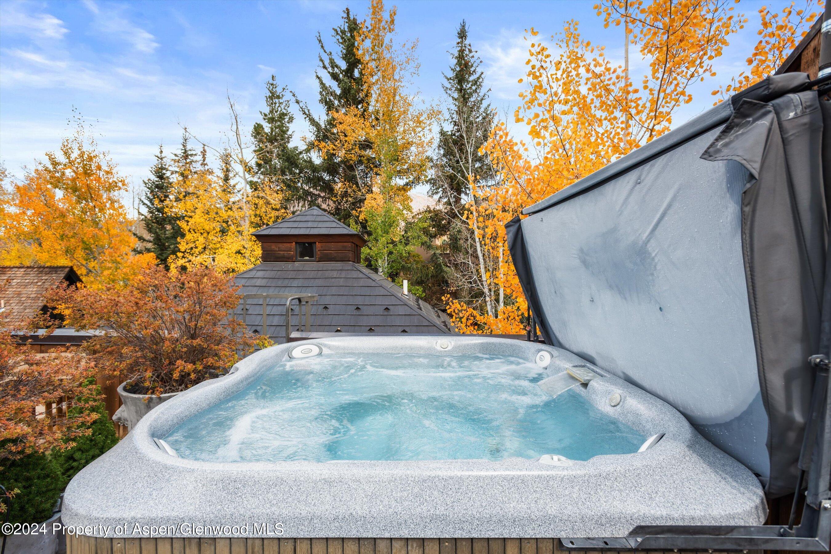 1016 E Hopkins Avenue Aspen CO 81611