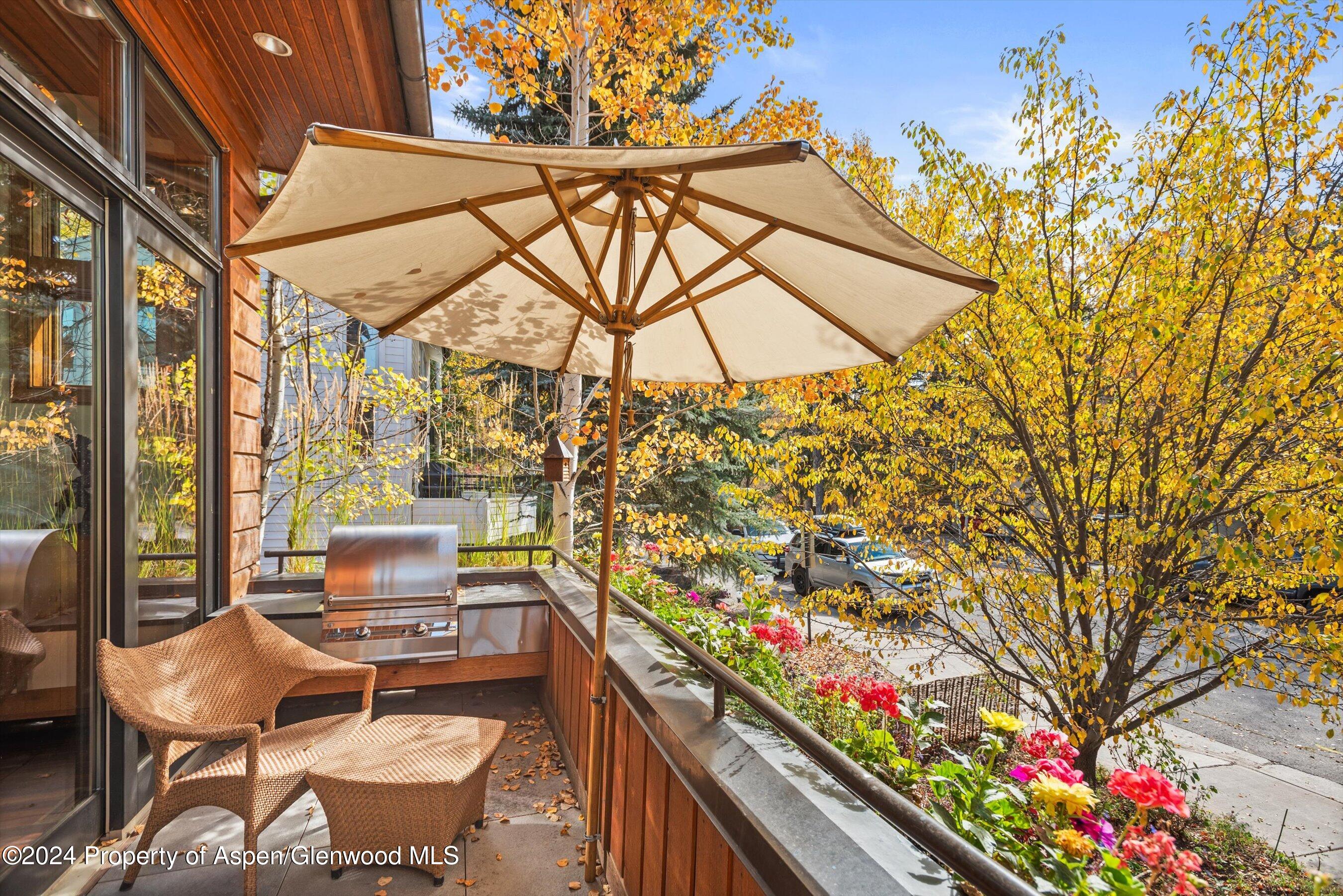 1016 E Hopkins Avenue Aspen CO 81611