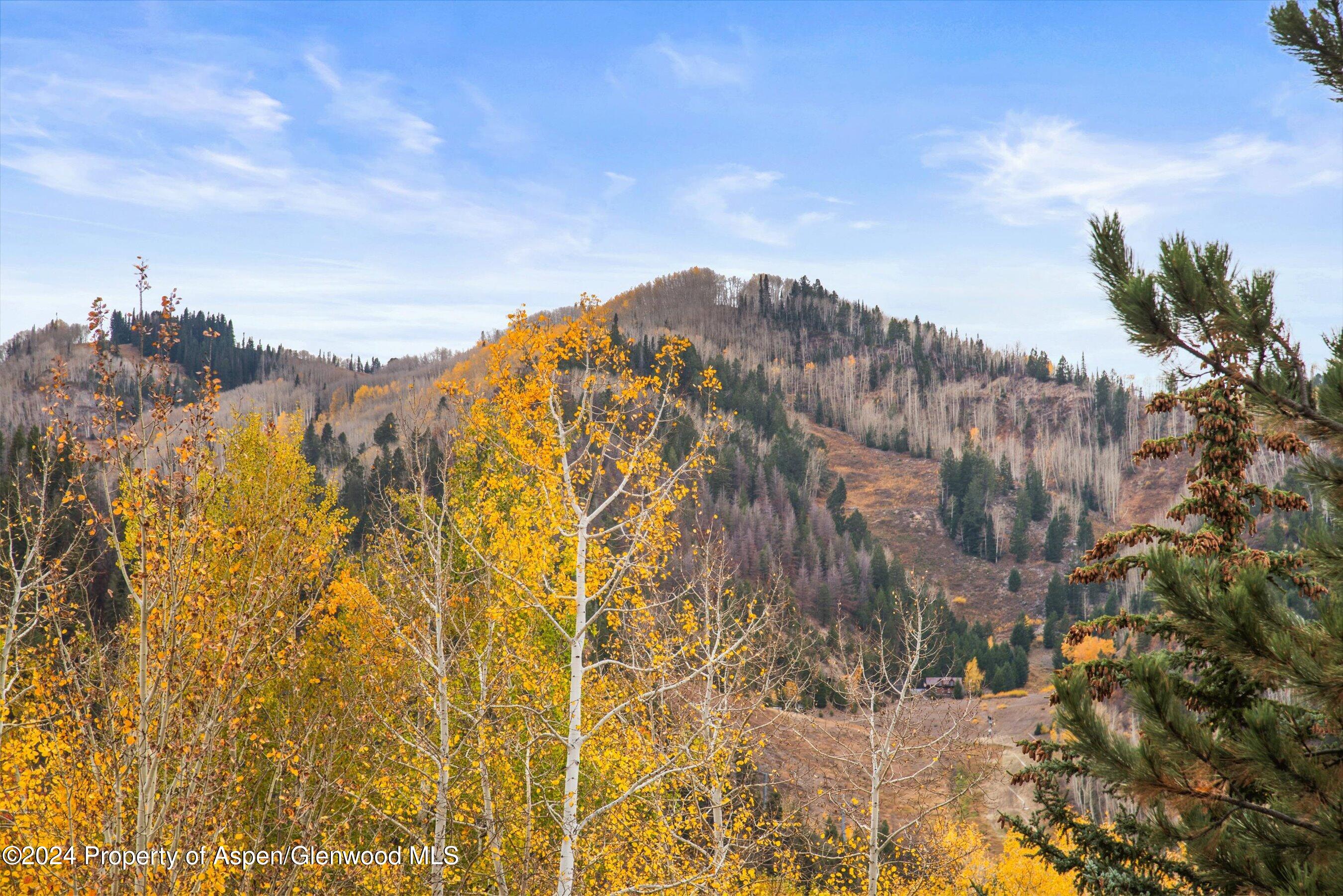 1016 E Hopkins Avenue Aspen CO 81611