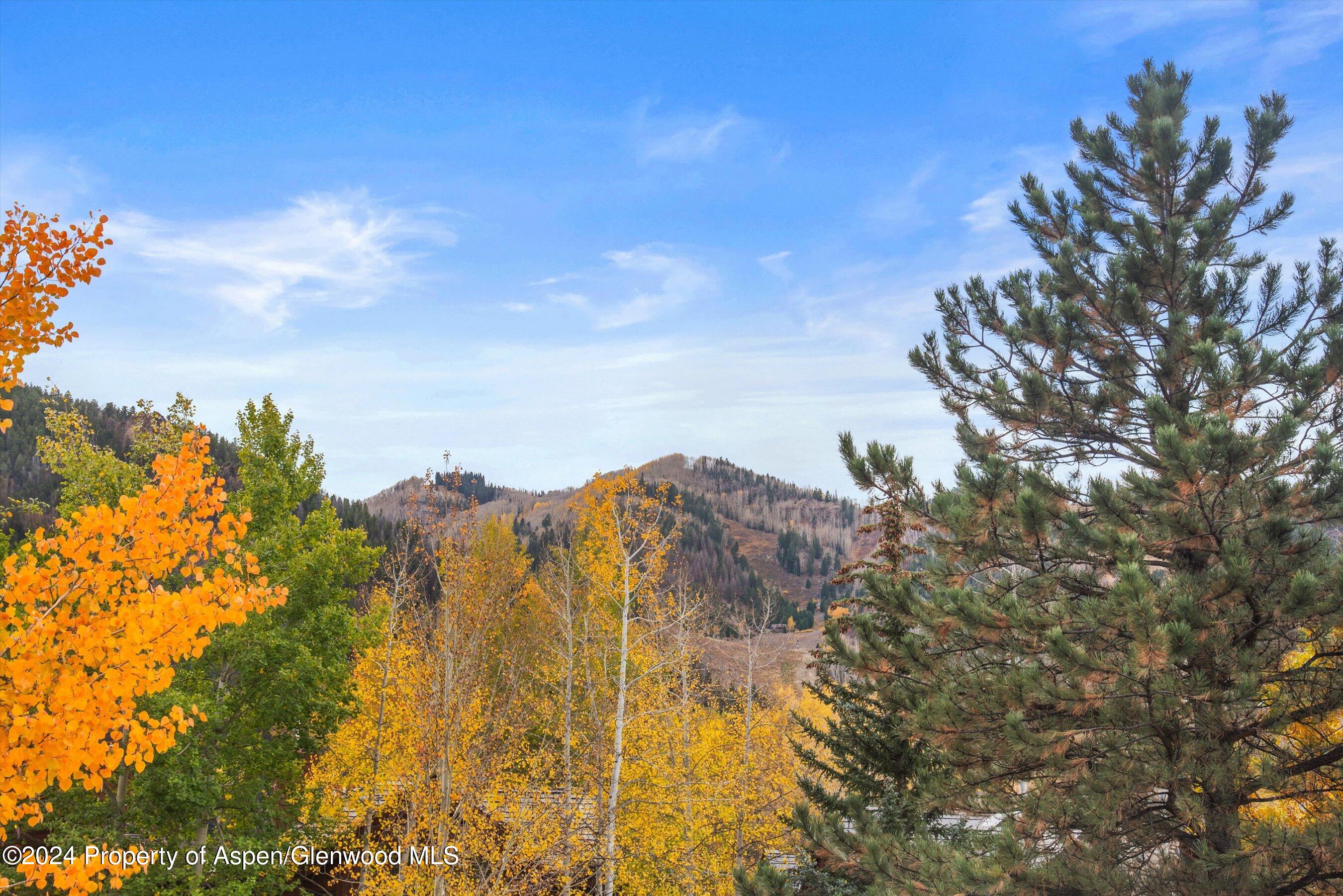 1016 E Hopkins Avenue Aspen CO 81611