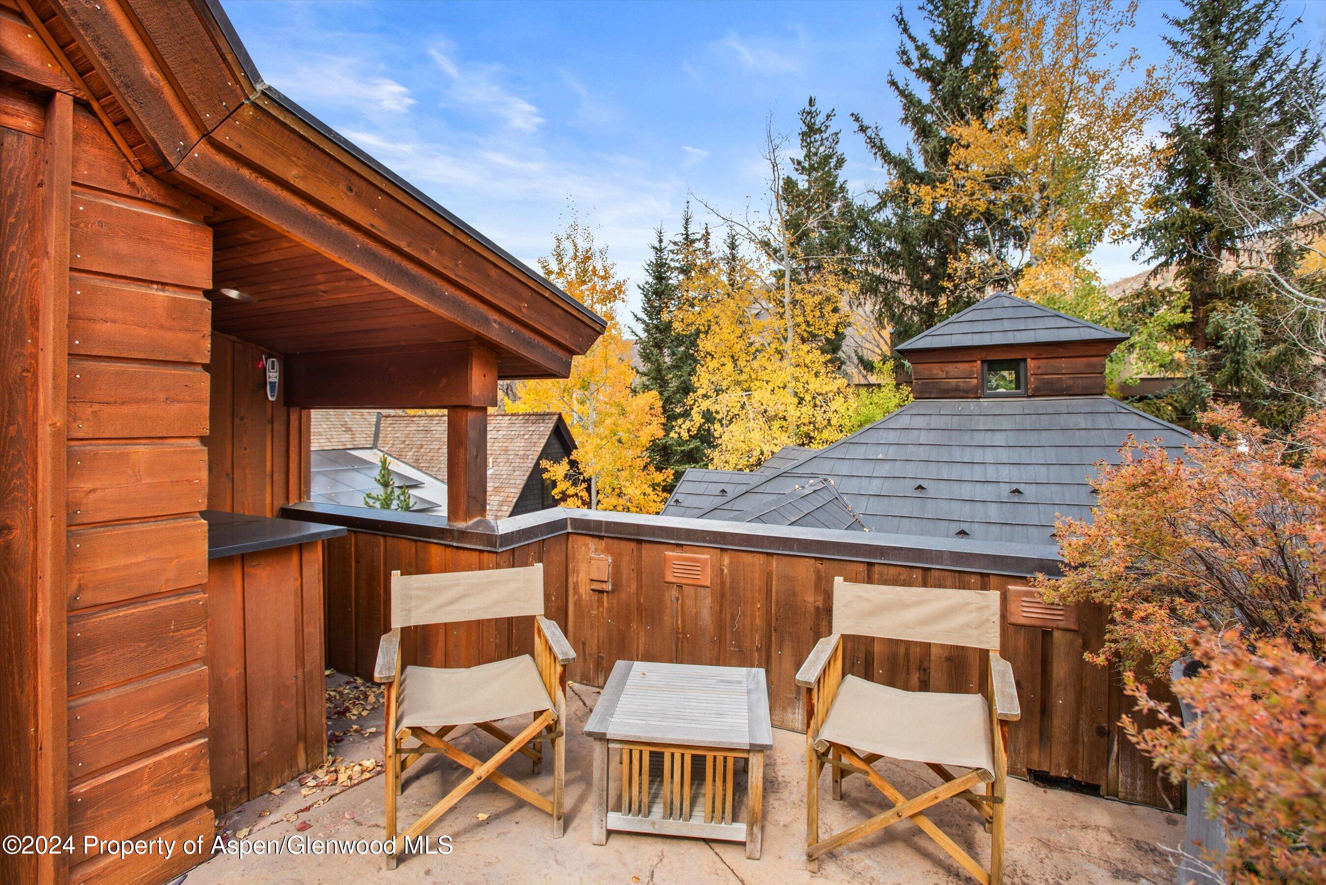 1016 E Hopkins Avenue Aspen CO 81611