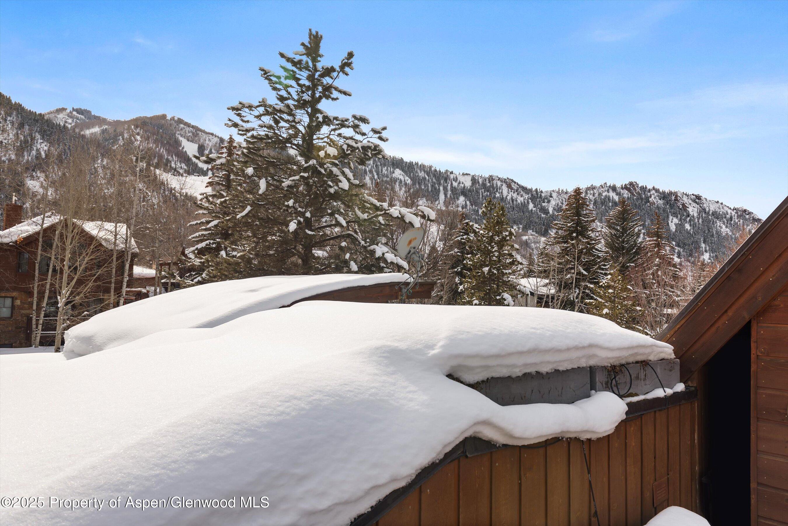 1016 E Hopkins Avenue Aspen CO 81611