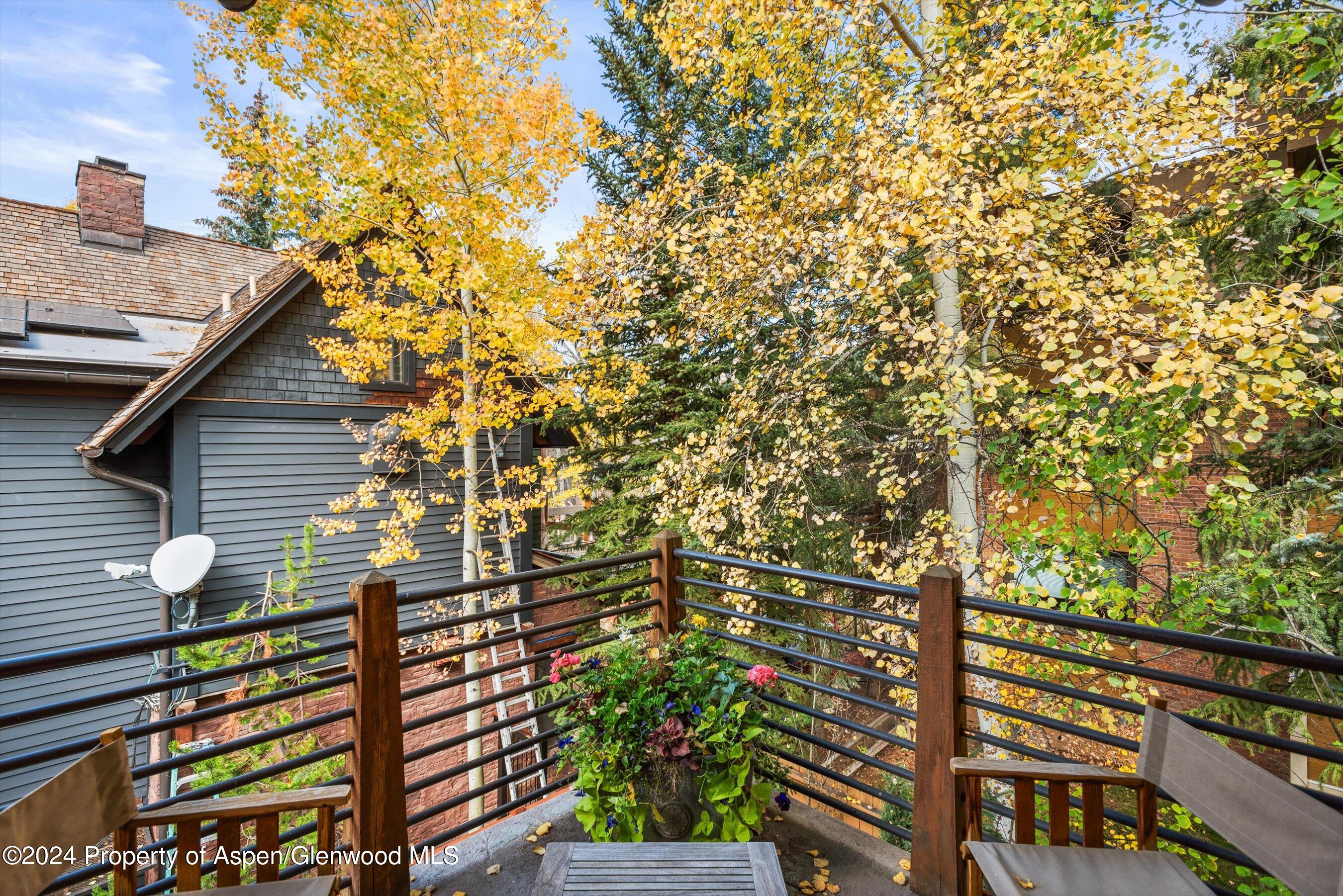 1016 E Hopkins Avenue Aspen CO 81611