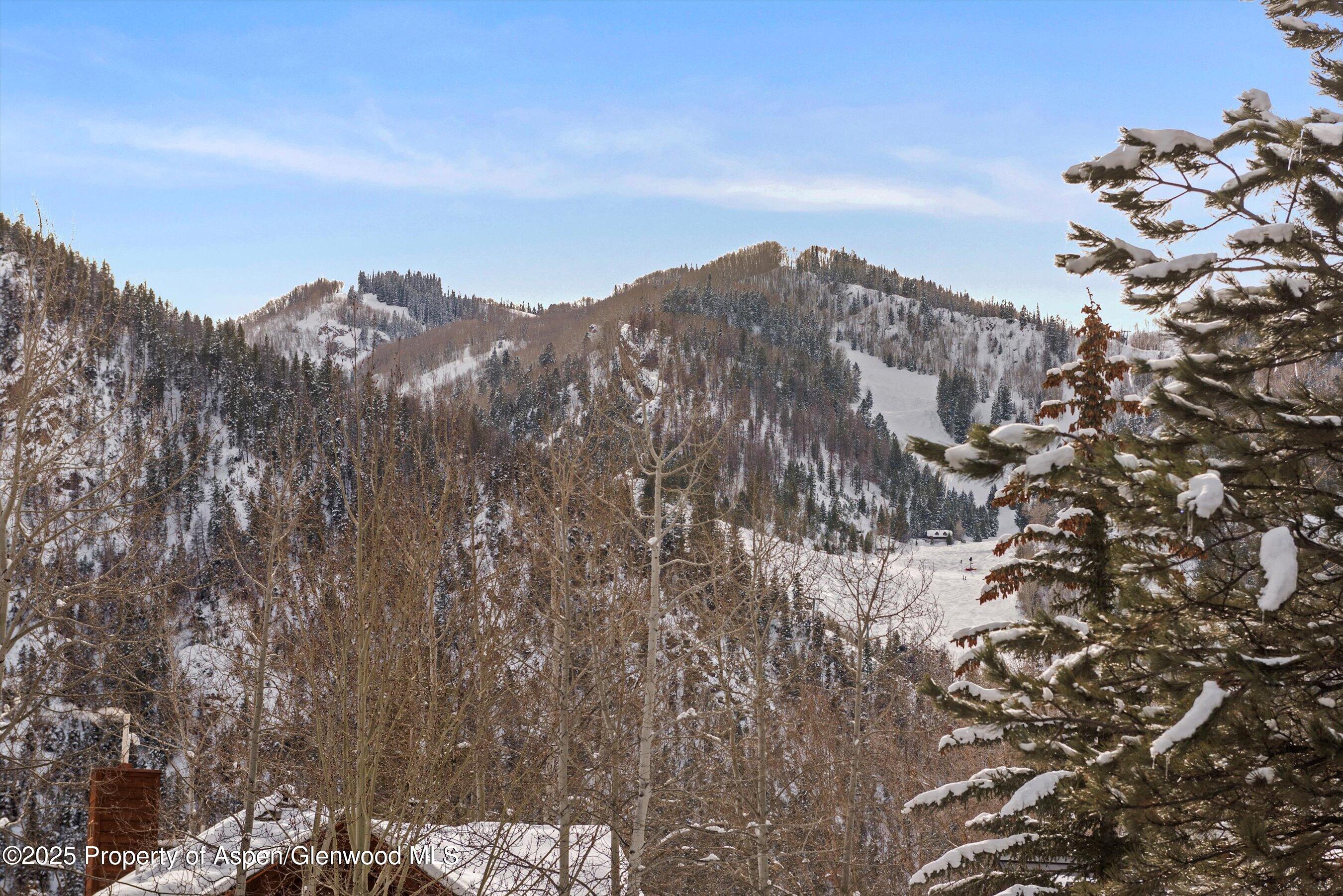 1016 E Hopkins Avenue Aspen CO 81611