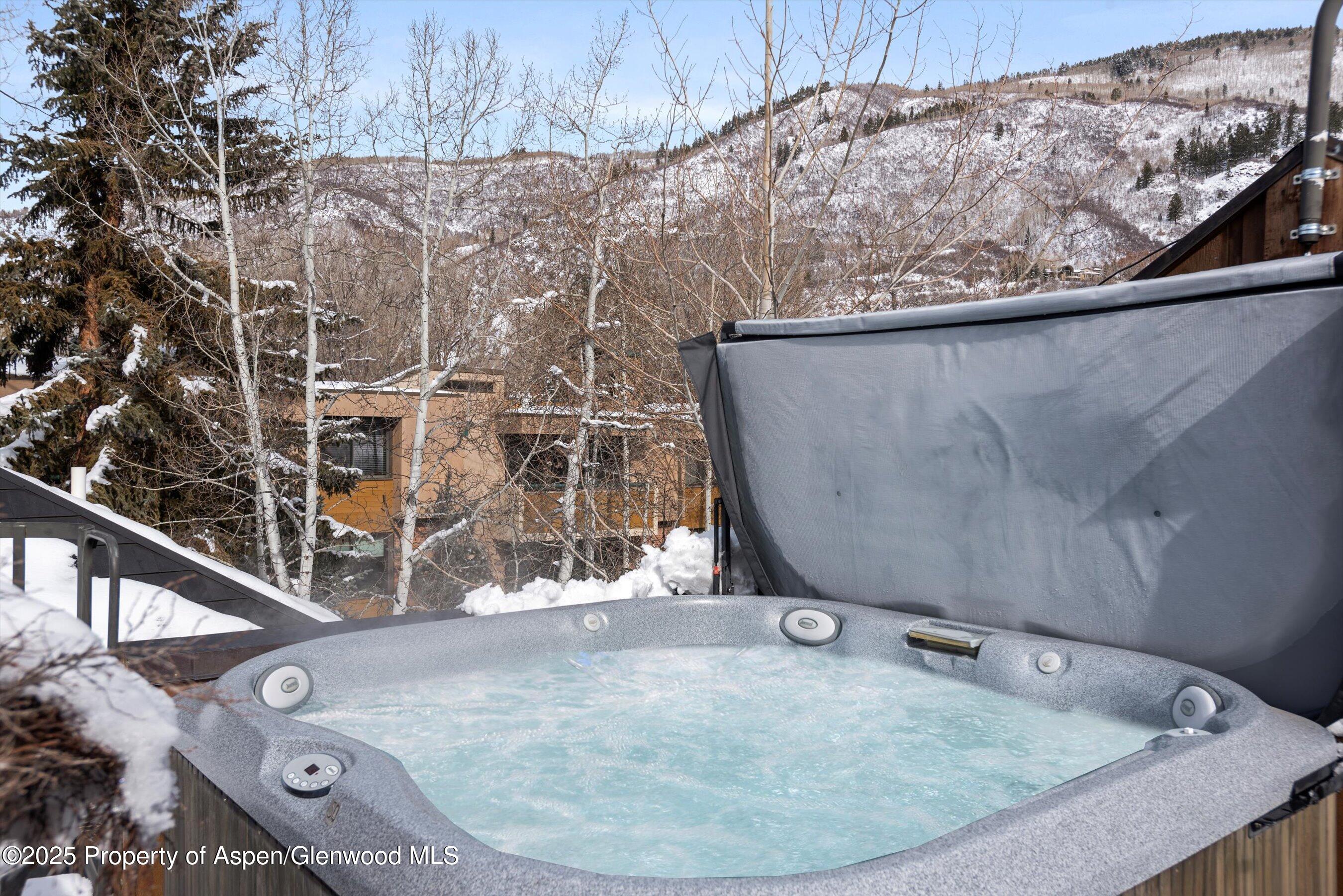 1016 E Hopkins Avenue Aspen CO 81611