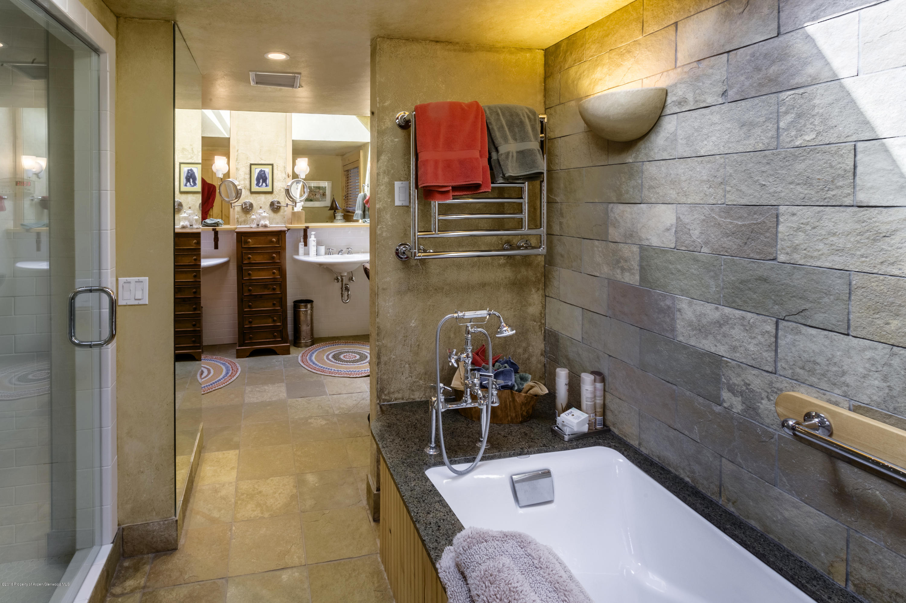 237 W Hopkins Avenue Aspen CO 81611