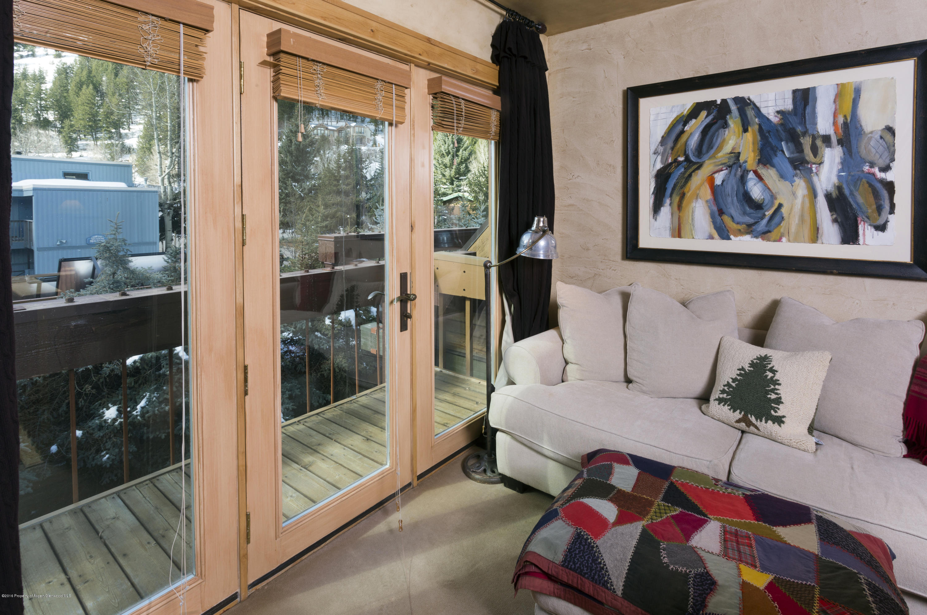 237 W Hopkins Avenue Aspen CO 81611