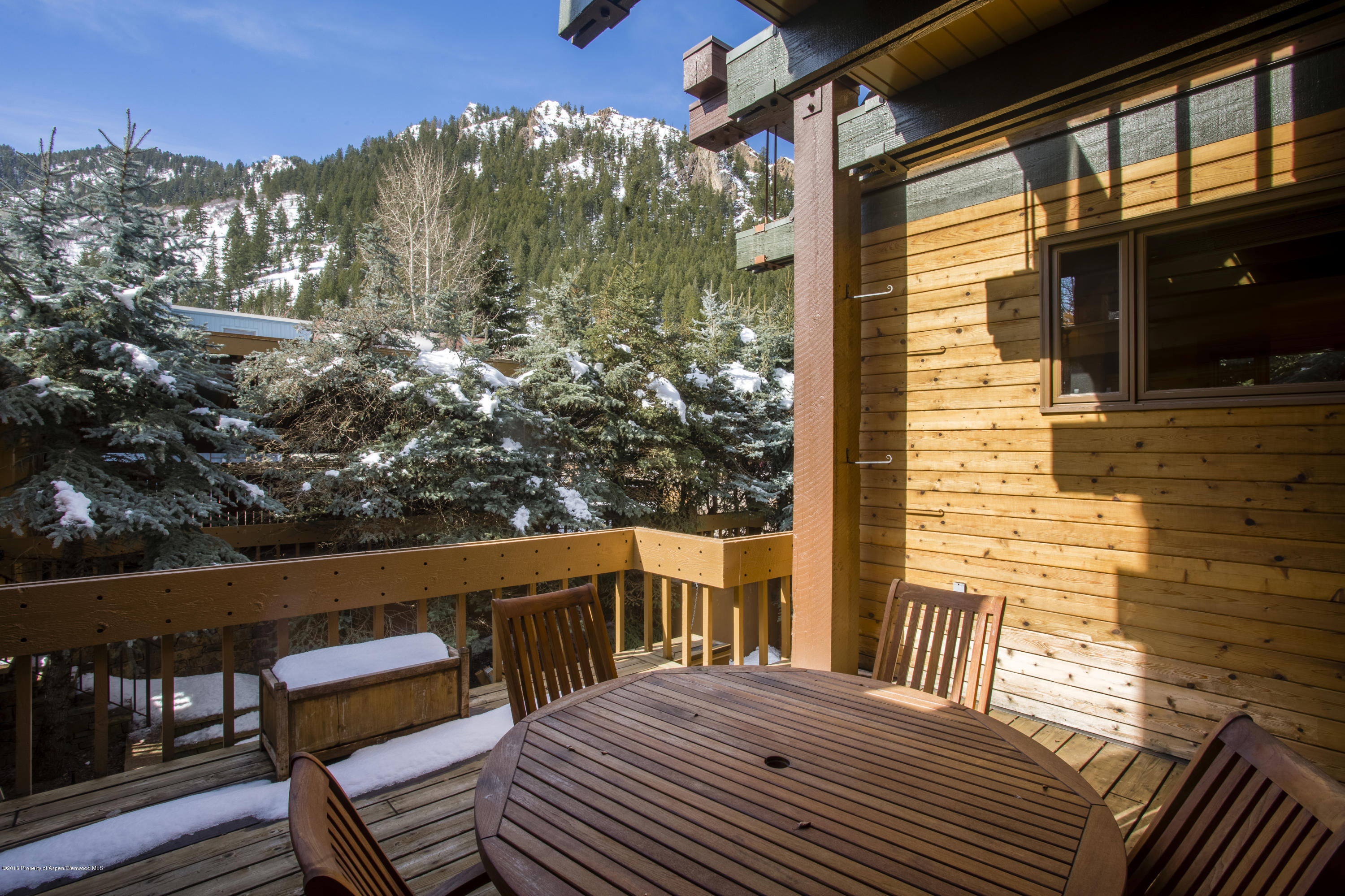 237 W Hopkins Avenue Aspen CO 81611