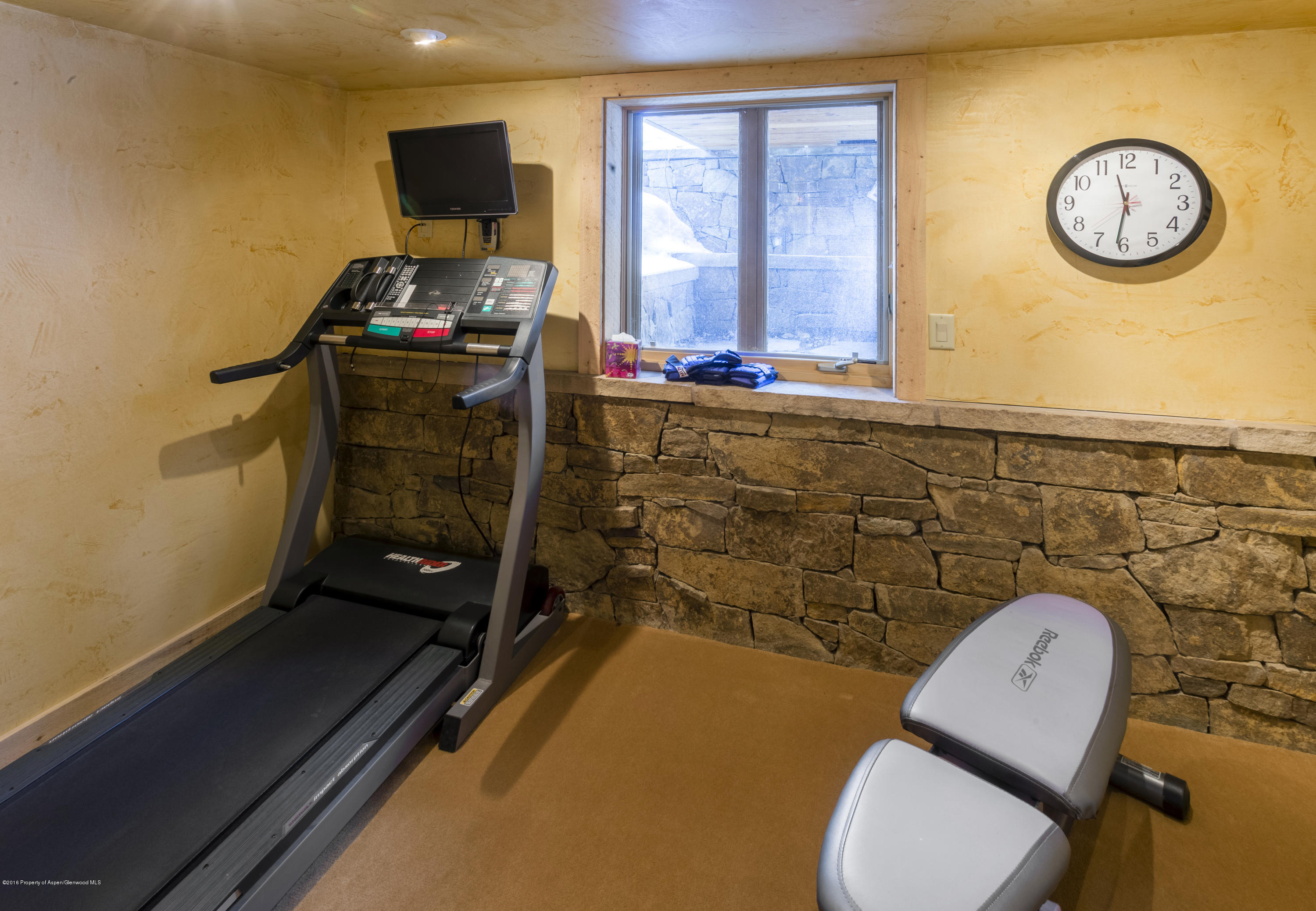 237 W Hopkins Avenue Aspen CO 81611