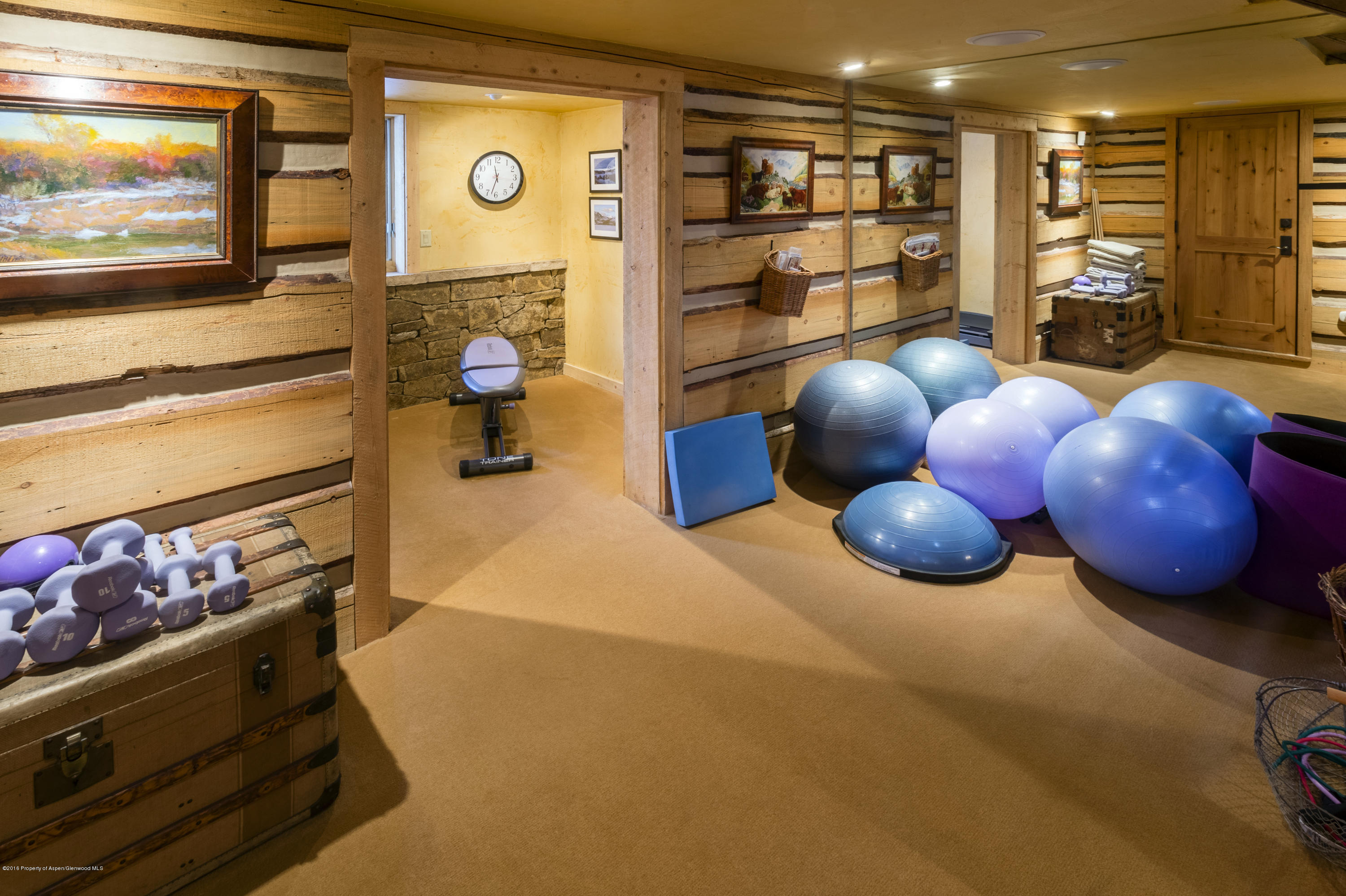 237 W Hopkins Avenue Aspen CO 81611